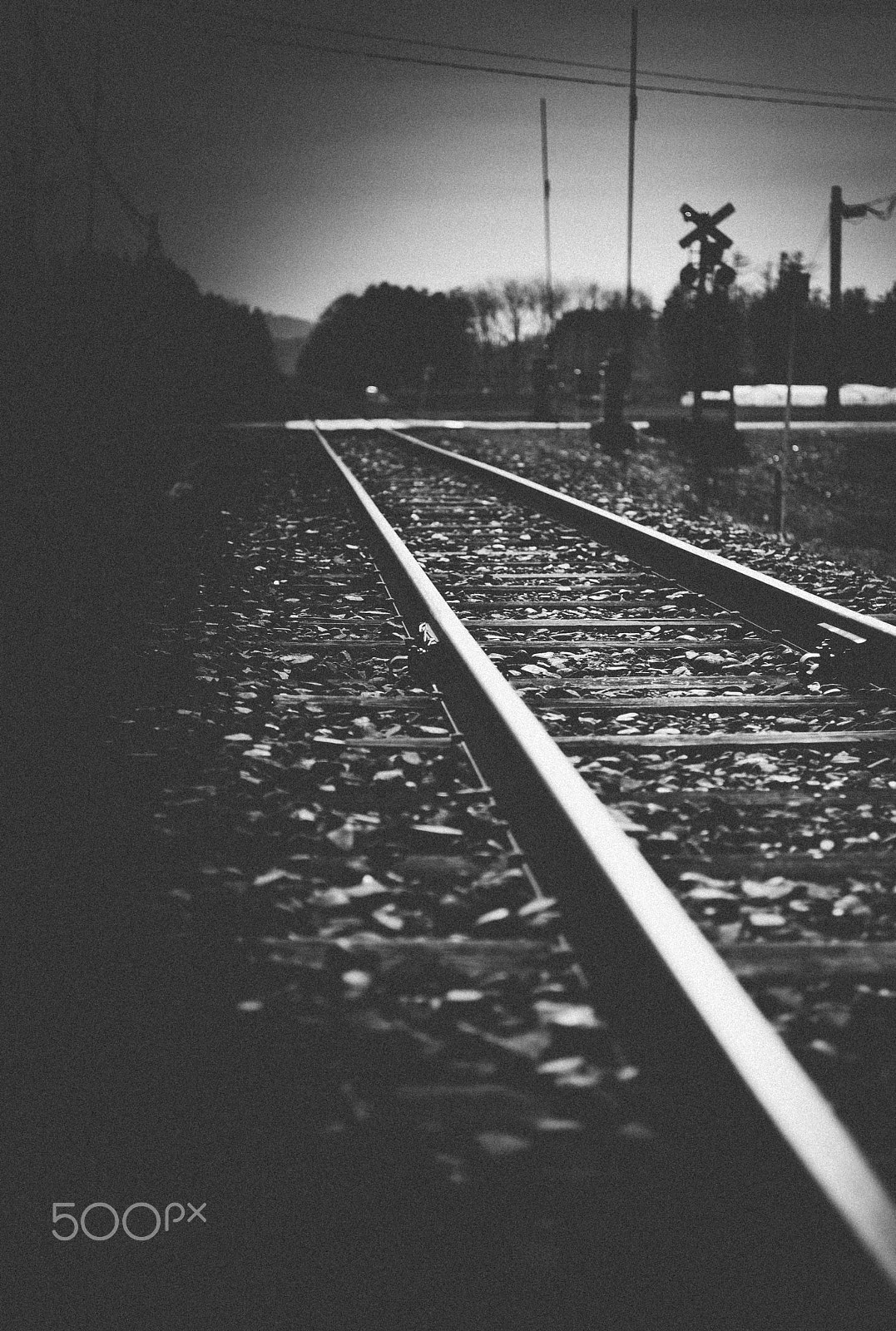 Summicron-M 50mm f/2 (IV, V) sample photo. Endless photography