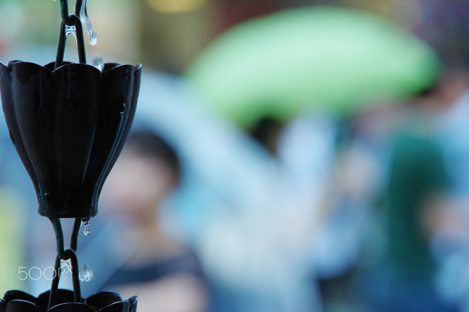 Pentax K-3 II sample photo. Rain photography