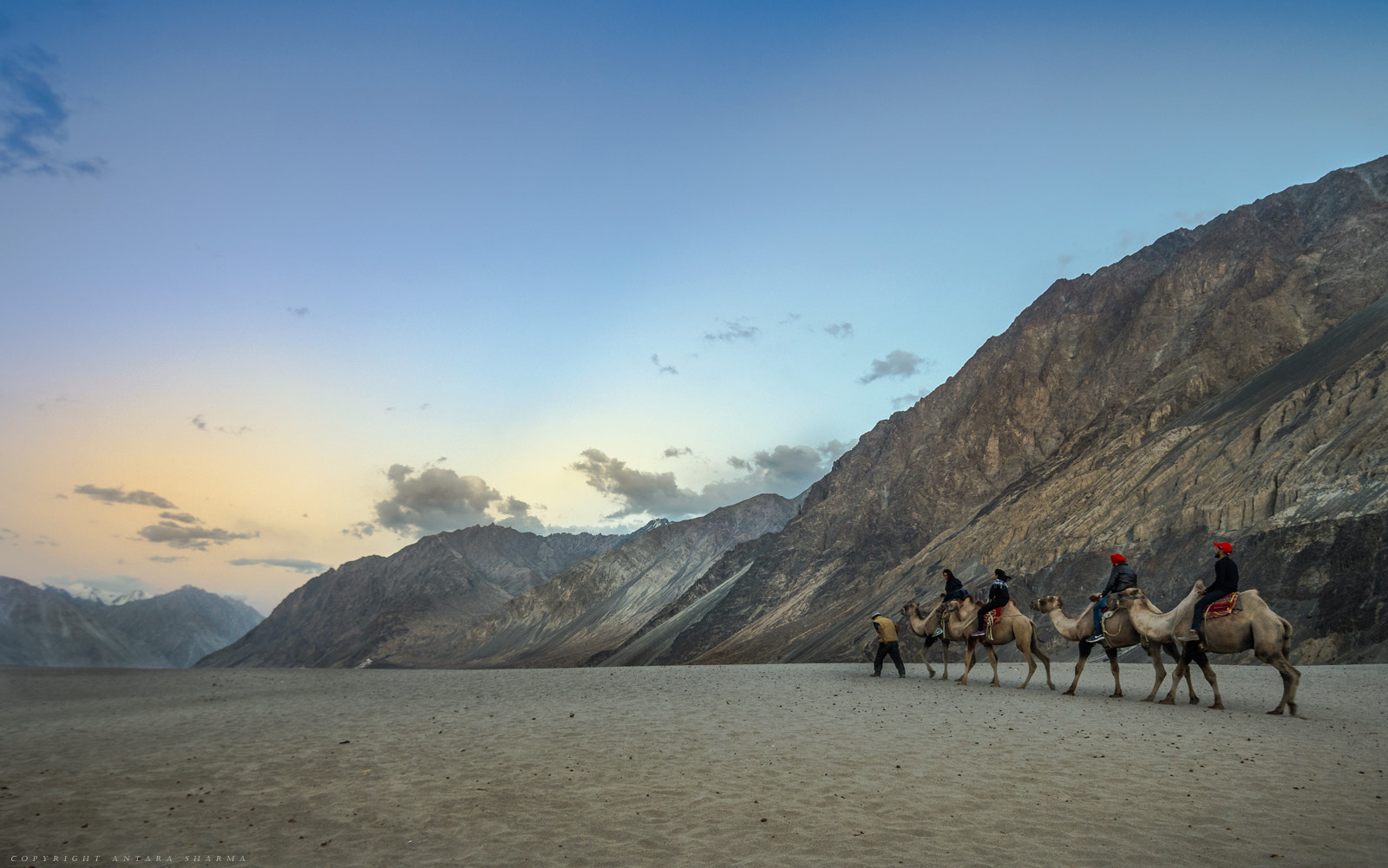 Nikon D500 sample photo. Camel ride.jpg photography