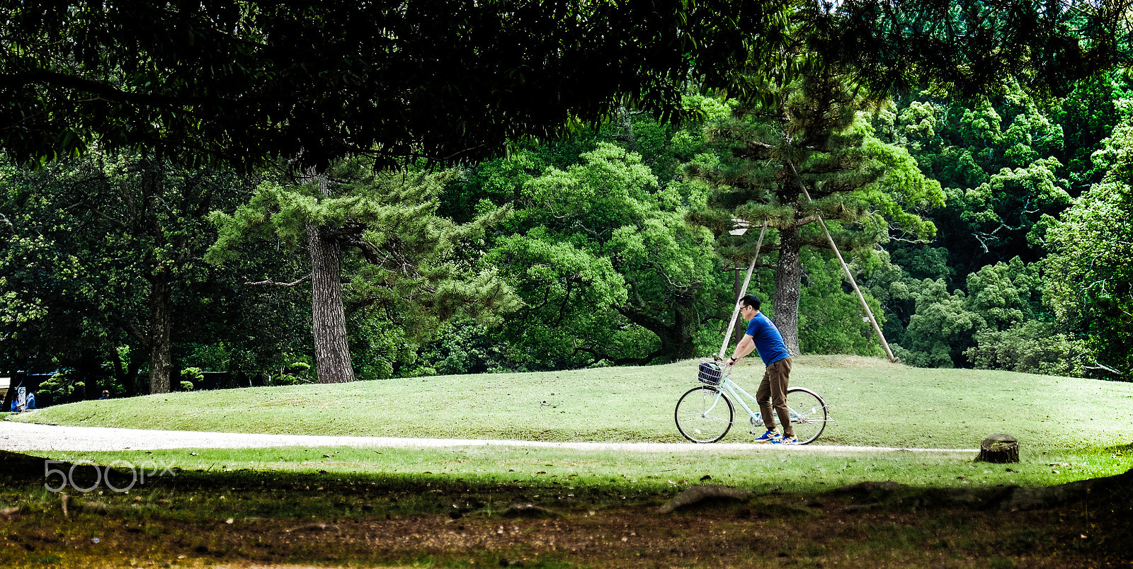 Fujifilm X-Pro1 + Fujifilm XF 18-135mm F3.5-5.6 R LM OIS WR sample photo. Kyoto photography