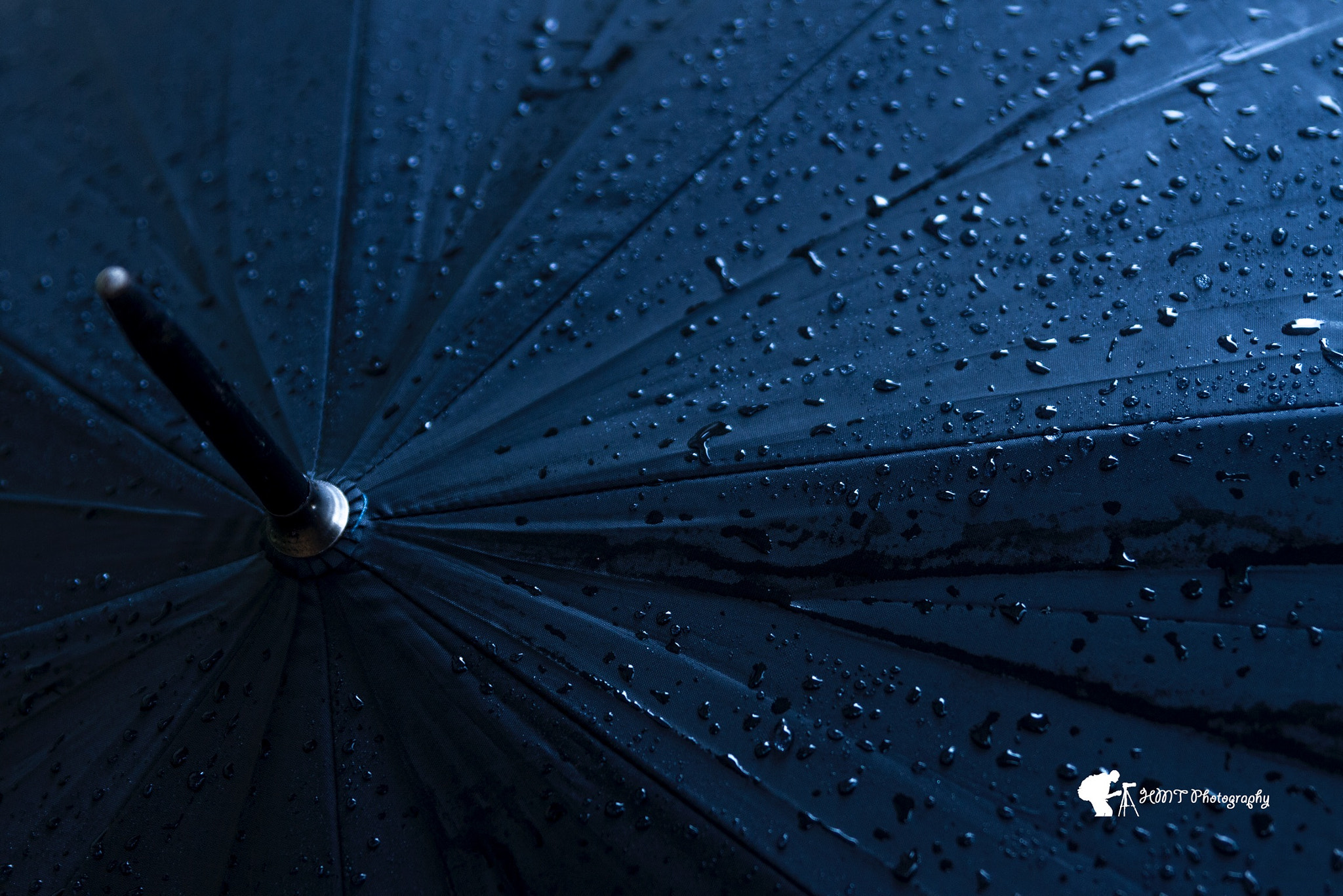 Canon EOS 7D + Canon EF 400mm f/2.8L sample photo. Senses of rain photography