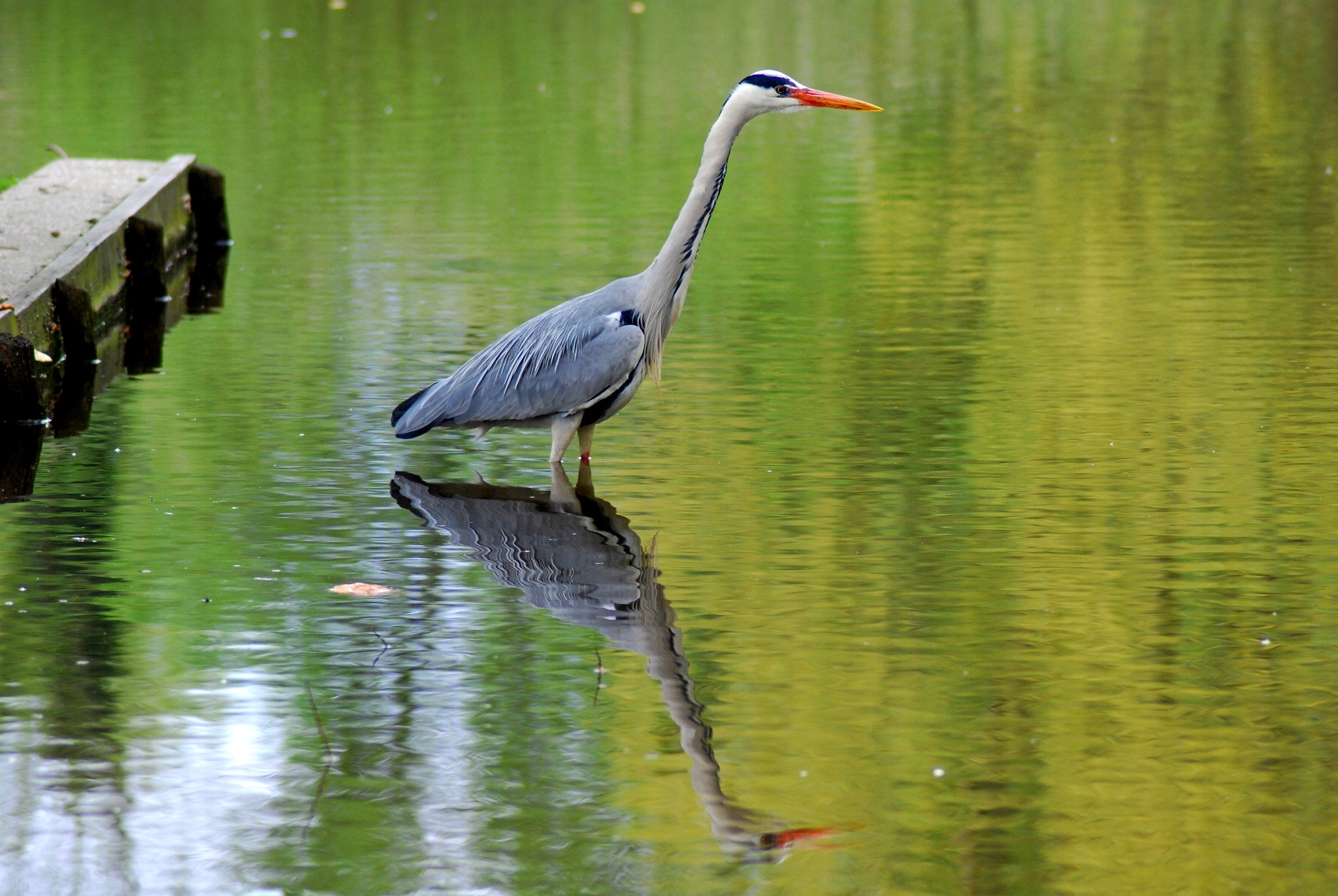 Nikon D80 sample photo. Hunter photography
