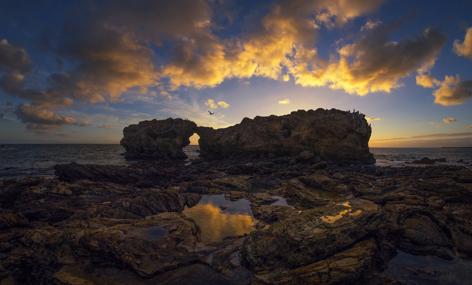 Samyang 12mm F2.8 ED AS NCS Fisheye sample photo. Low tide at corona del mar photography