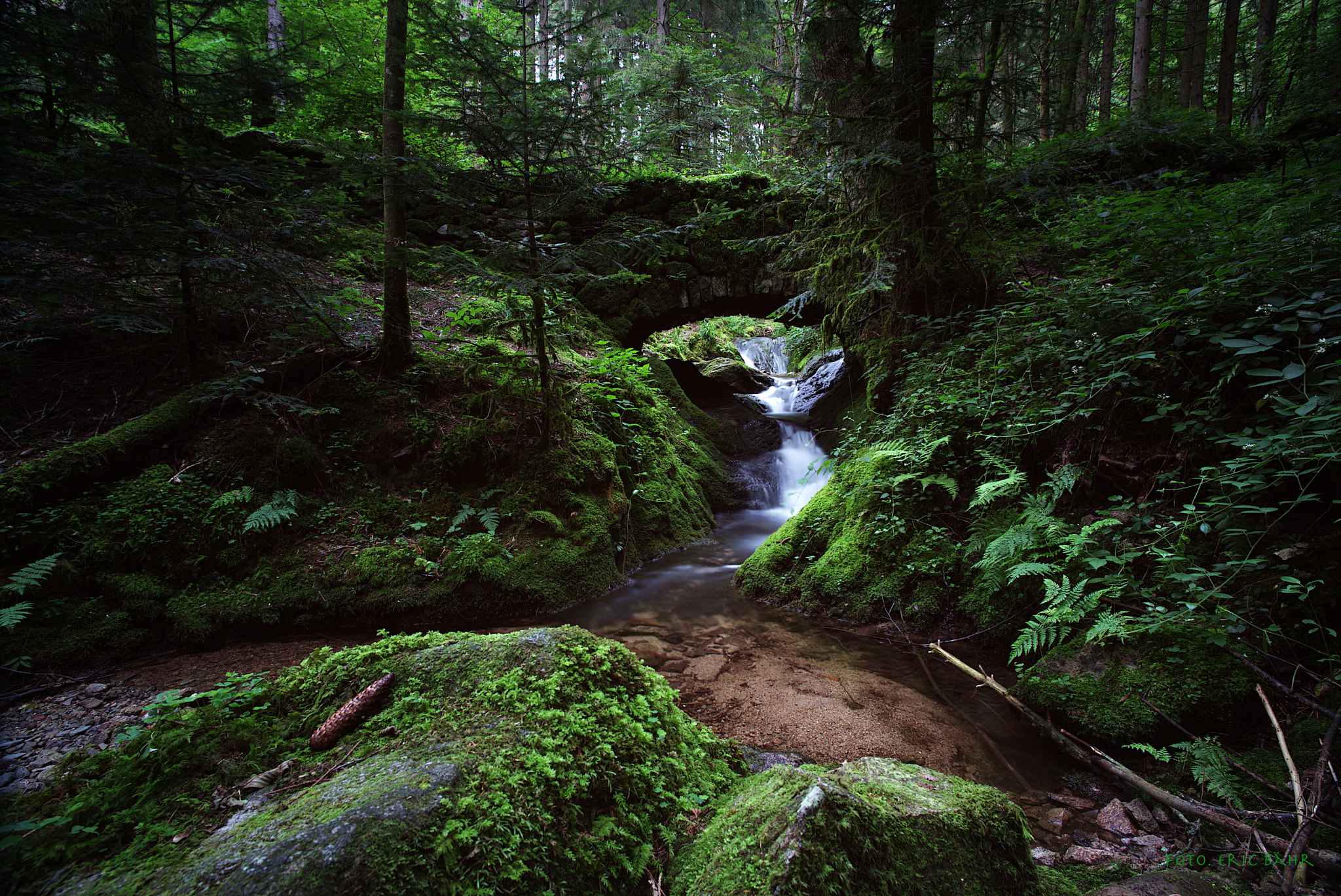 Pentax K-1 sample photo. Brücke im wald photography