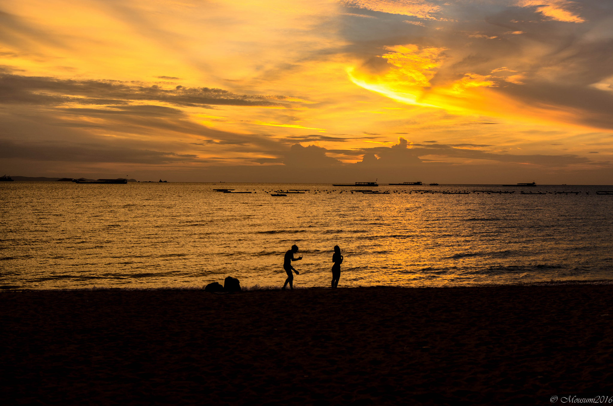 Nikon D5100 + Sigma 18-35mm F1.8 DC HSM Art sample photo. Golden hour photography