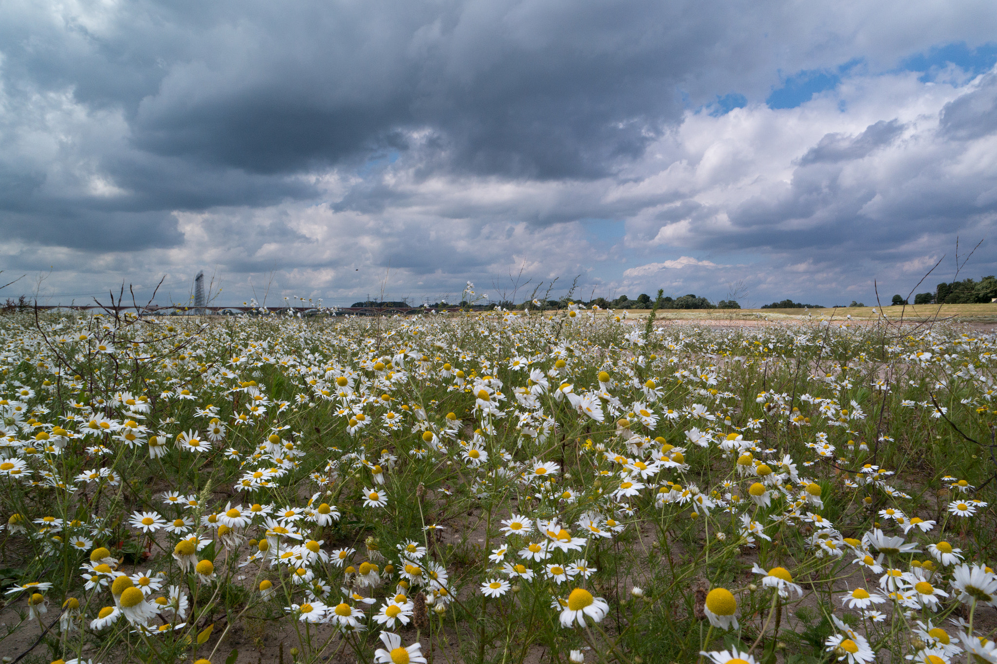 Samsung NX300M sample photo. Waal shores nijmegen photography