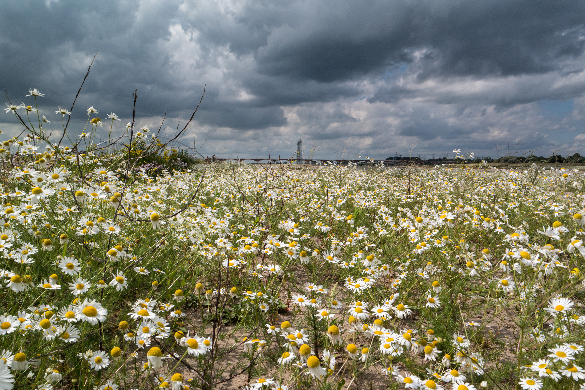 Samsung NX300M sample photo. Waal shores nijmegen photography