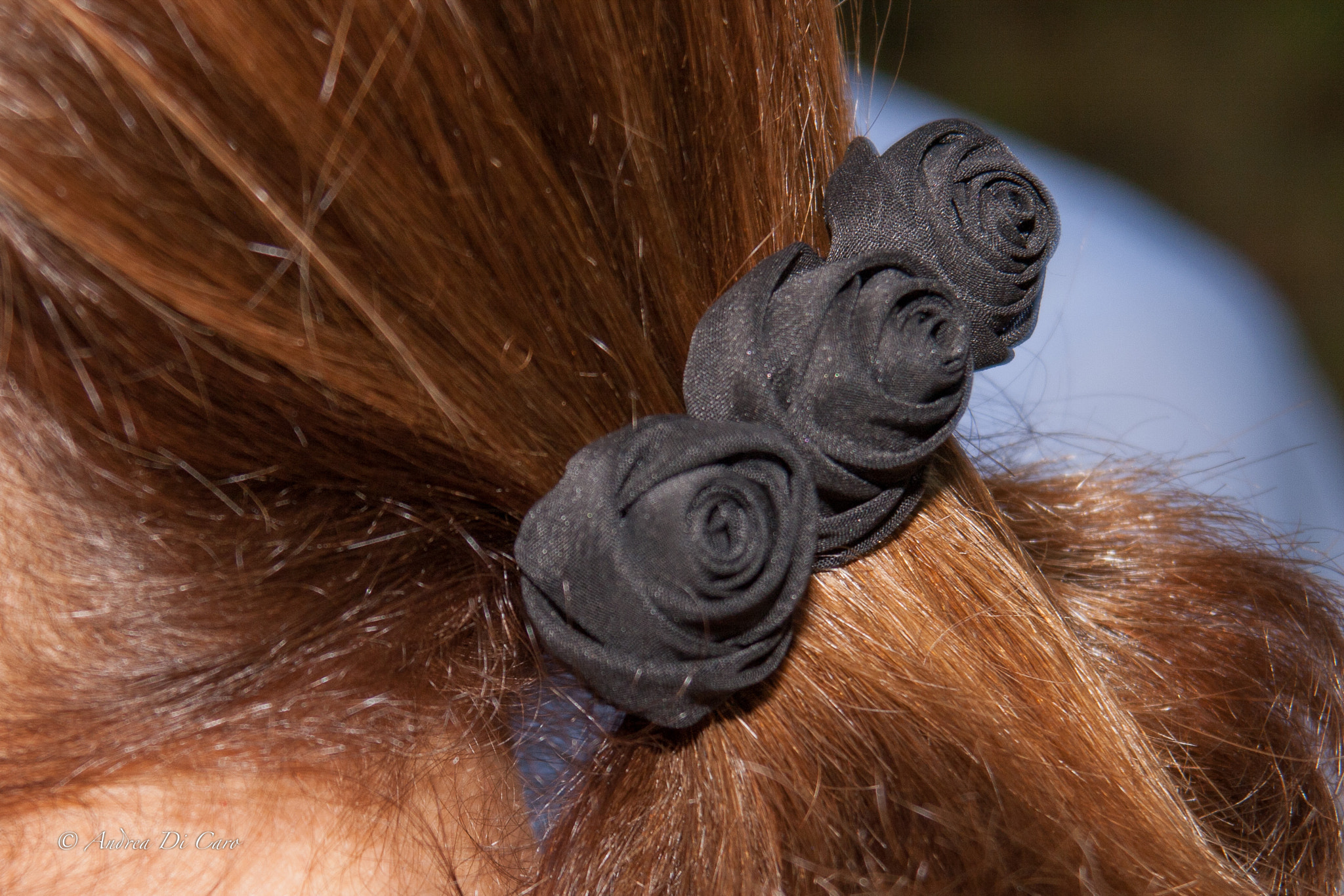 Canon EF 28-200mm F3.5-5.6 USM sample photo. Rose nere photography