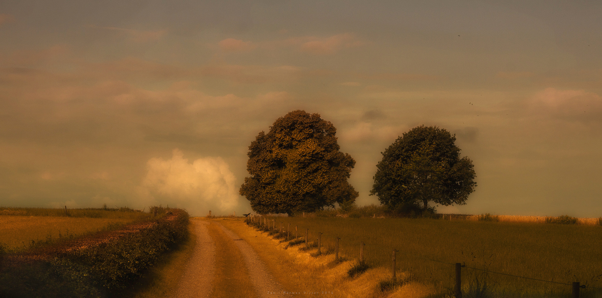 Canon EF 50-200mm f/3.5-4.5 sample photo. Old dutch... photography