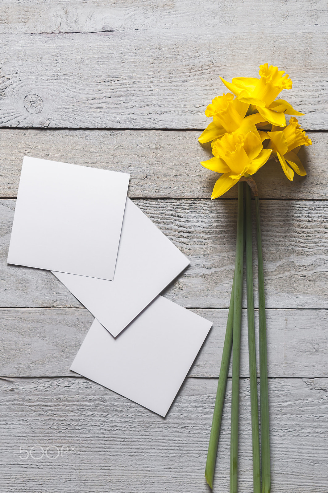 Nikon D90 + Tamron SP 24-70mm F2.8 Di VC USD sample photo. Yellow narcissus flowers and blank paper pieces on wooden background photography
