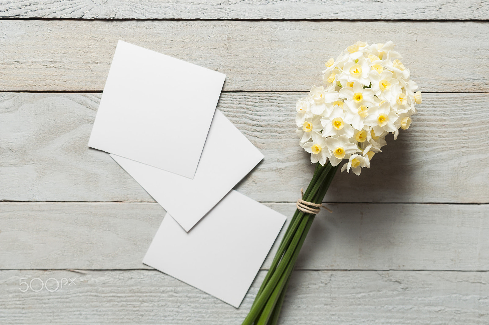 Tamron SP 24-70mm F2.8 Di VC USD sample photo. White narcissus flowers and blank paper pieces on wooden background photography