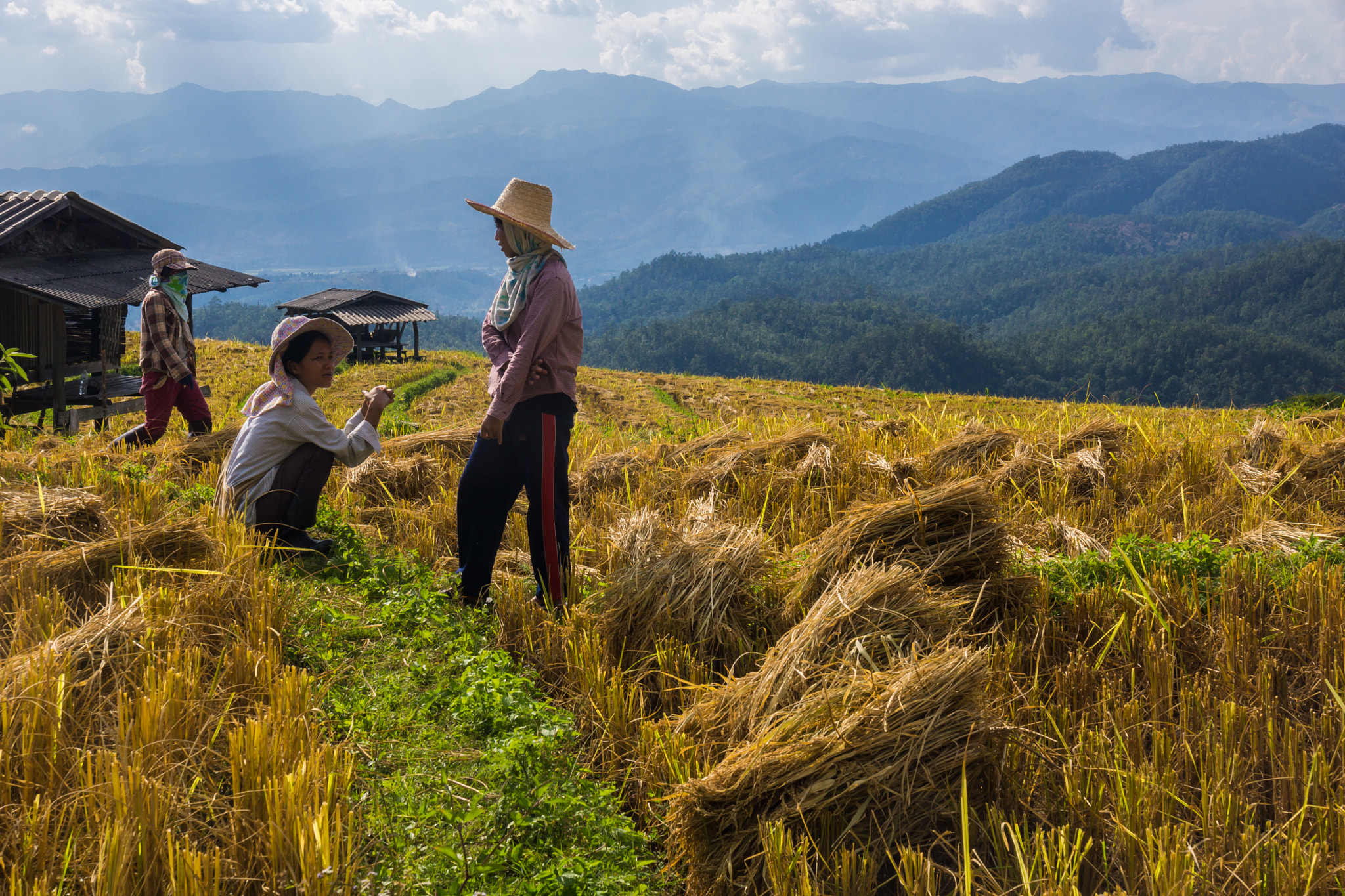 Sony DT 16-105mm F3.5-5.6 sample photo. Farmer's talk photography