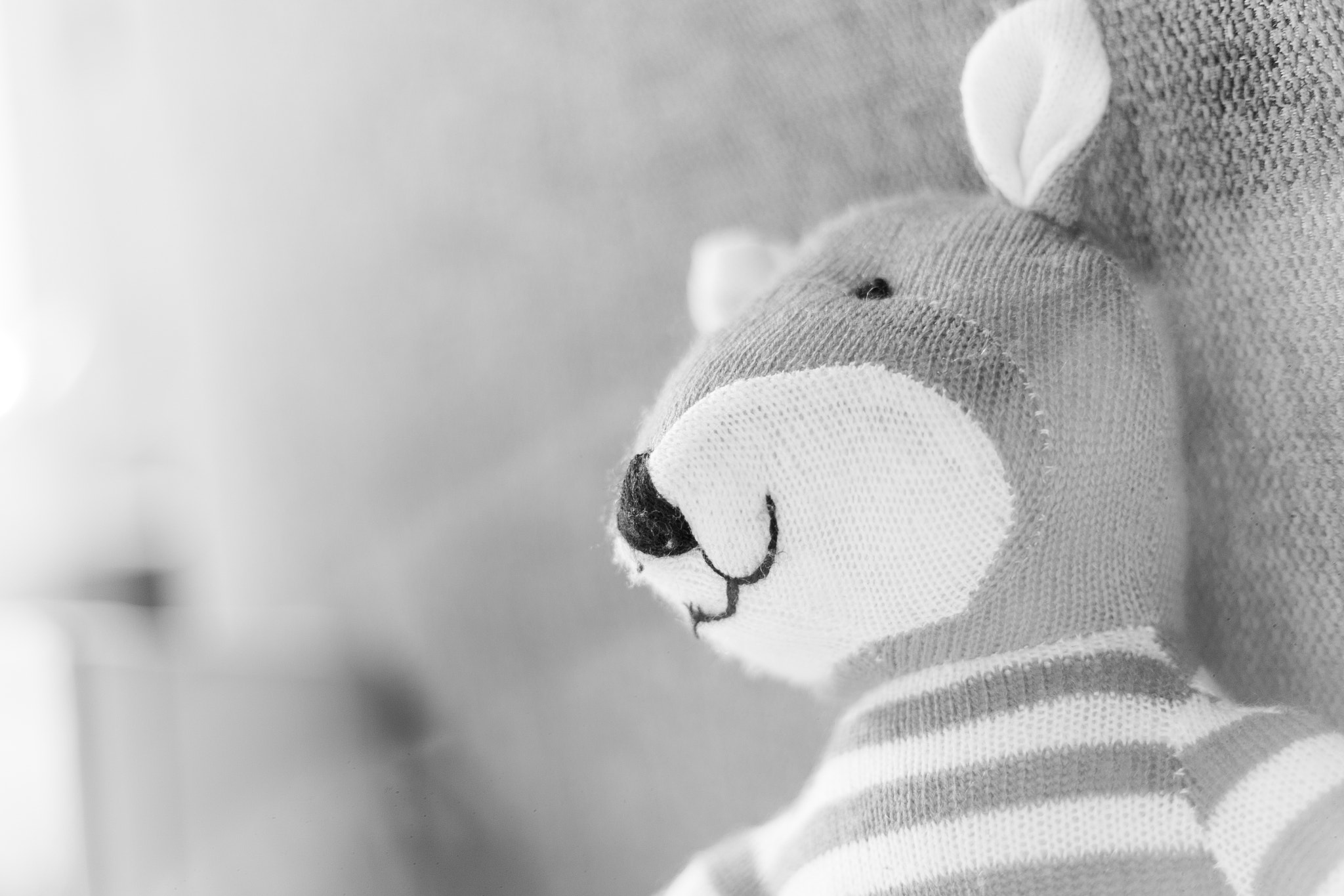 Canon EOS-1D Mark II N sample photo. Reinicke photography
