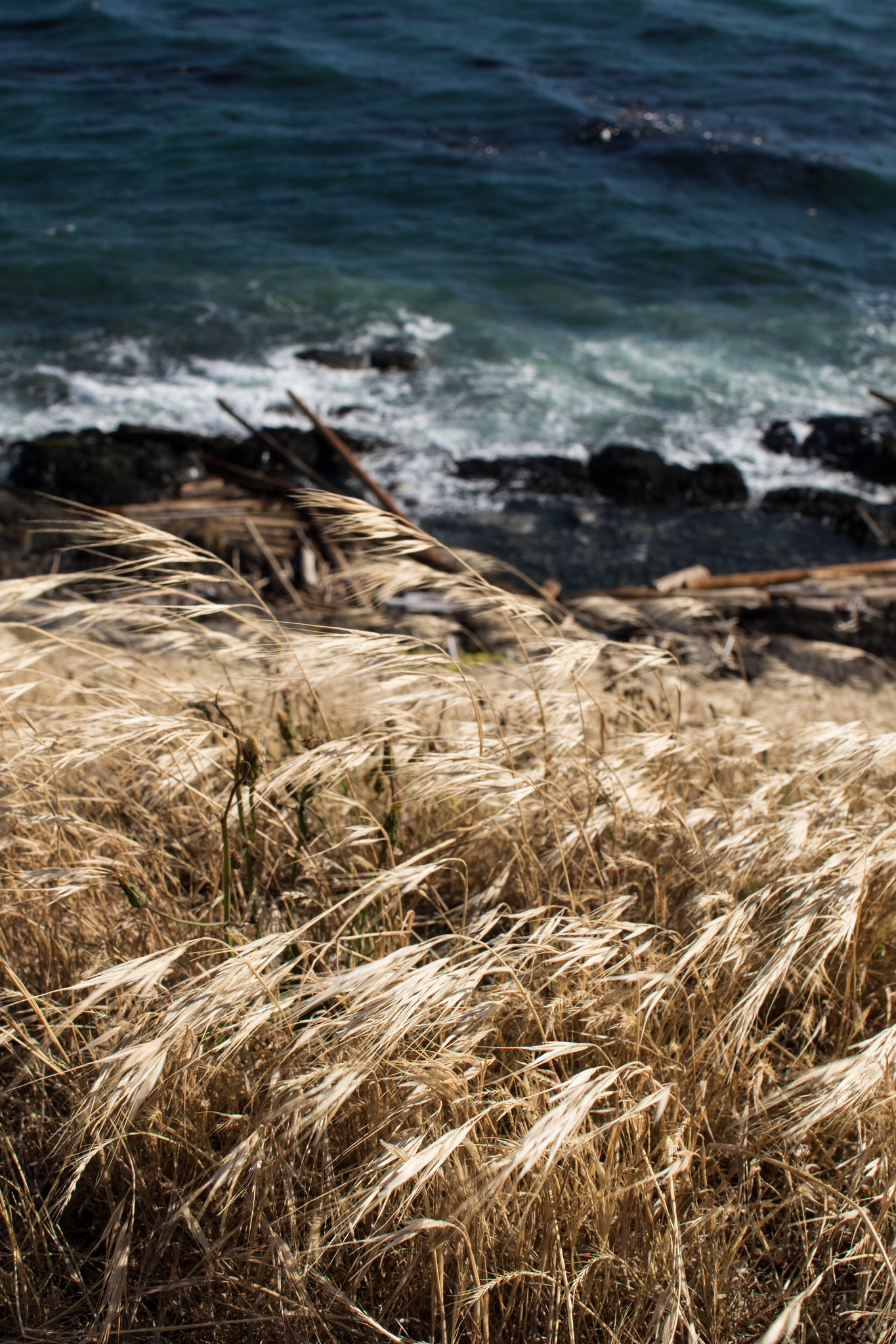 Sigma 30mm F1.4 EX DC HSM sample photo. Seaside drama photography