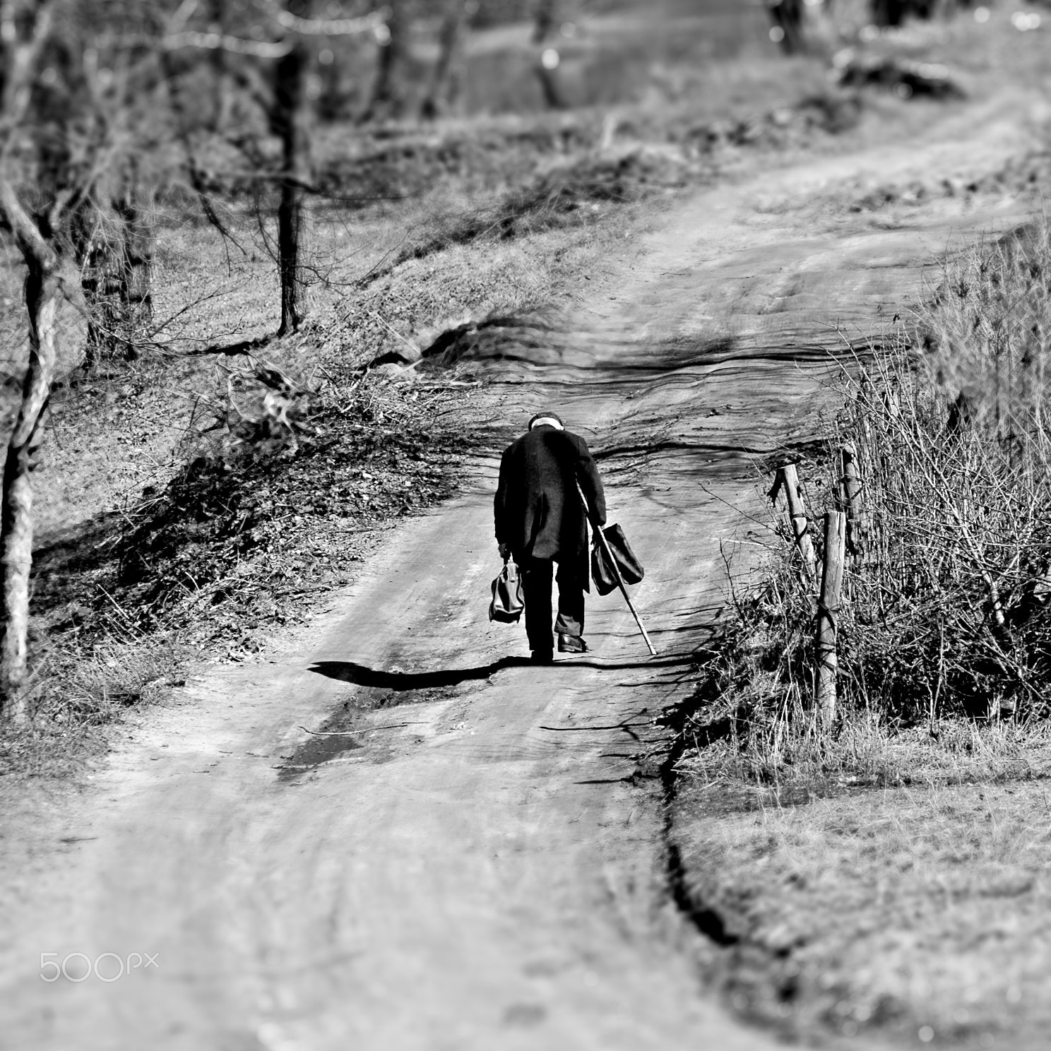 AF Zoom-Nikkor 70-300mm f/4-5.6D ED sample photo. ...( ..)and the years go by ... (the road of a lifetime ...) photography
