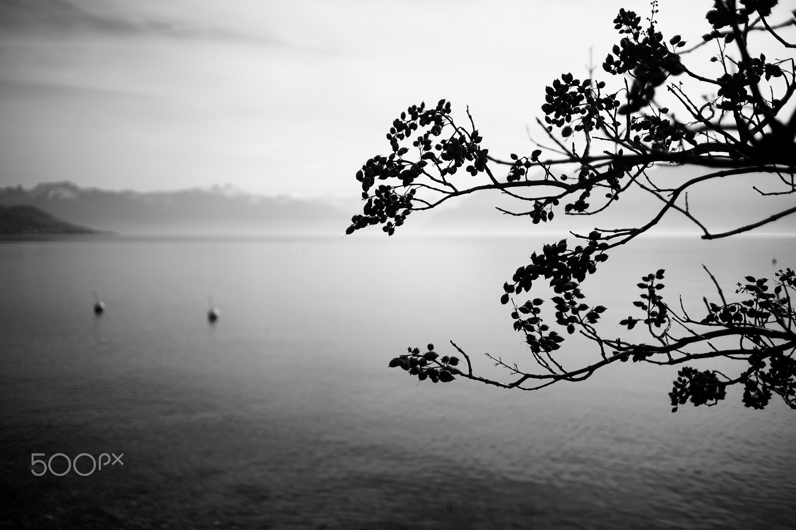 Sony a99 II sample photo. View on lake geneva and alps from lausanne, switzerland (2016-02-02, #6). bw photography