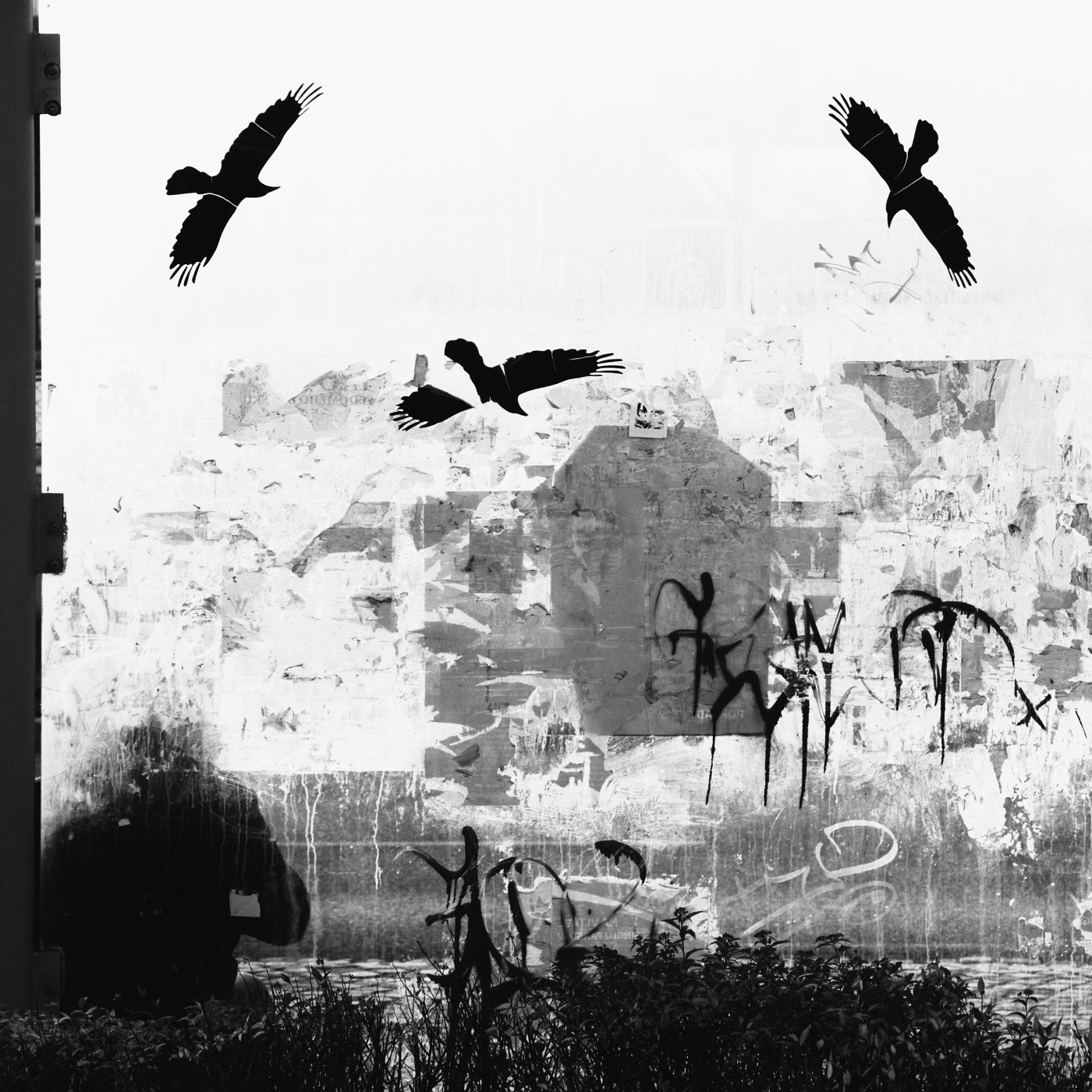Canon EOS 50D sample photo. About birds photography