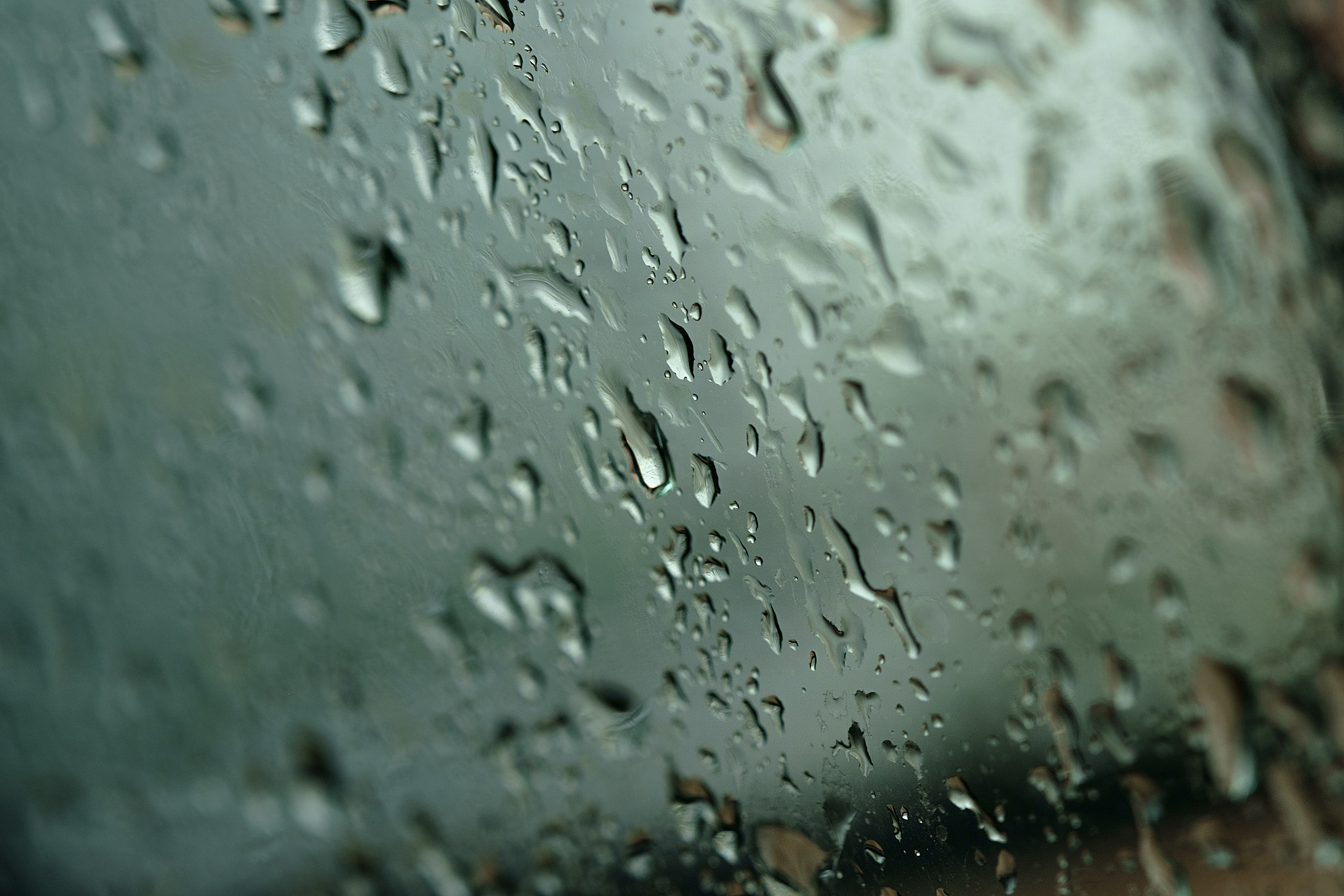 Fujifilm X-Pro1 + Fujifilm XF 60mm F2.4 R Macro sample photo. Edit copy photography