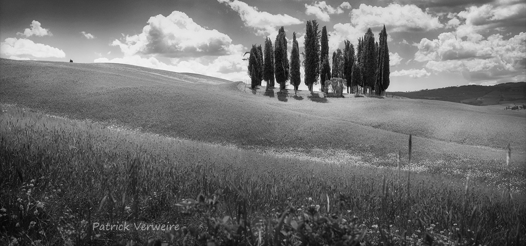 Fujifilm XC 16-50mm F3.5-5.6 OIS sample photo. Tuscany 24 photography