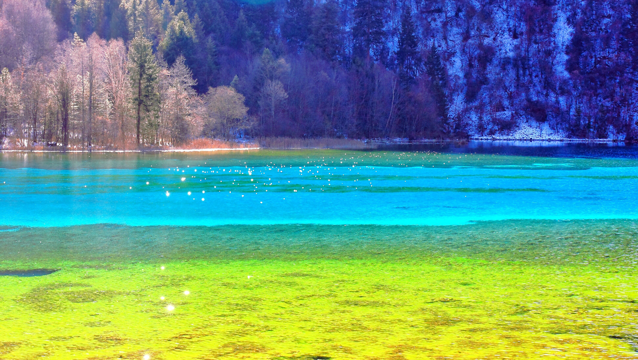 Canon EF 24-70mm F4L IS USM sample photo. Wuhuahai (colourful lake) jiuzhaigou, sichuan province, china photography