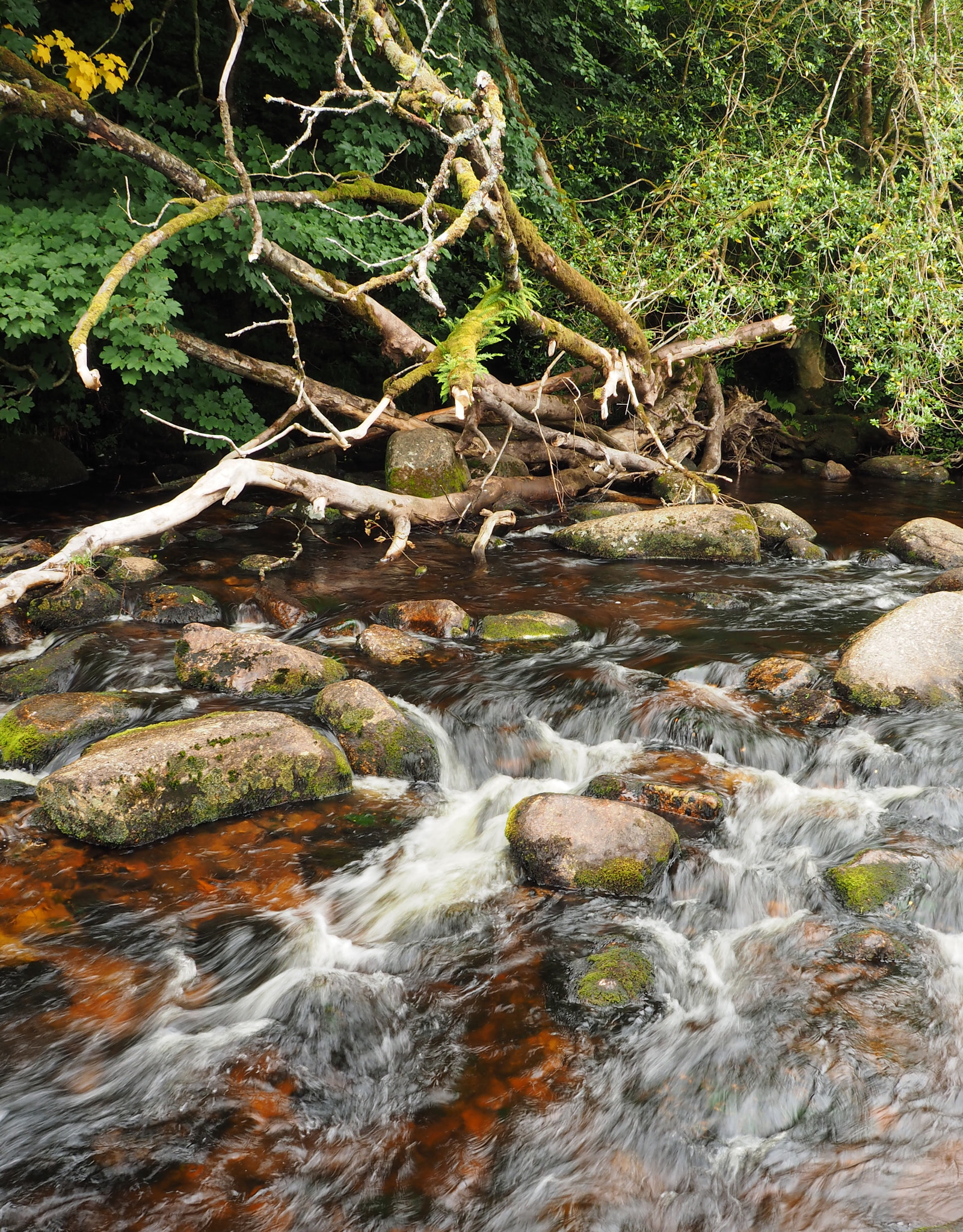 Olympus OM-D E-M1 + Olympus Zuiko Digital 14-54mm F2.8-3.5 sample photo. River on dartmoor photography