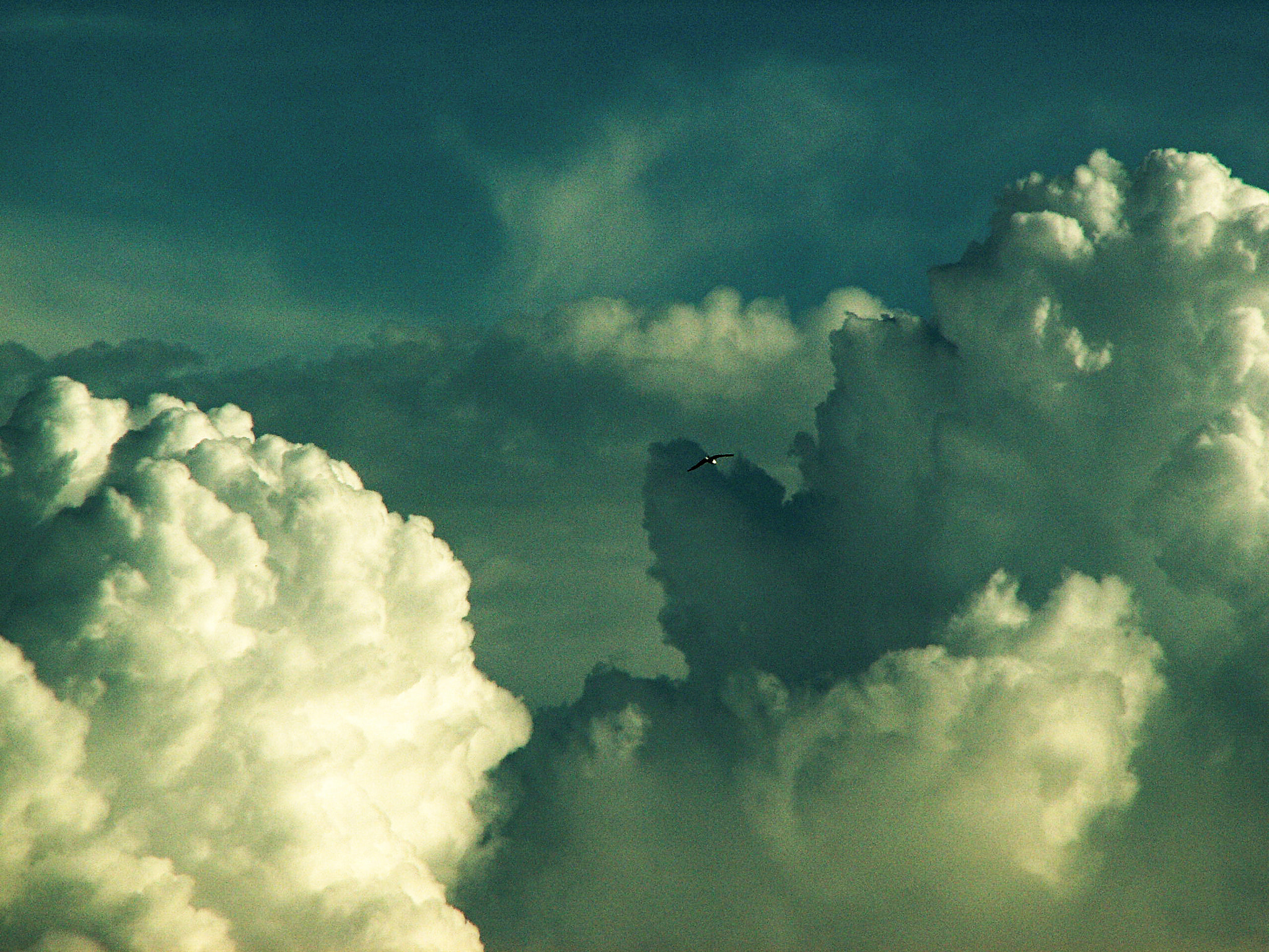 KONICA MINOLTA DiMAGE Z5 sample photo. Dutch clouds photography