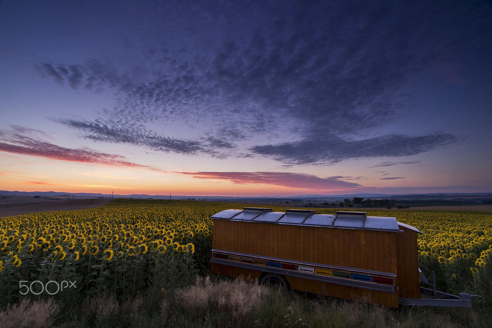 Nikon AF-S Nikkor 18-35mm F3.5-4.5G ED sample photo. Honey factory photography