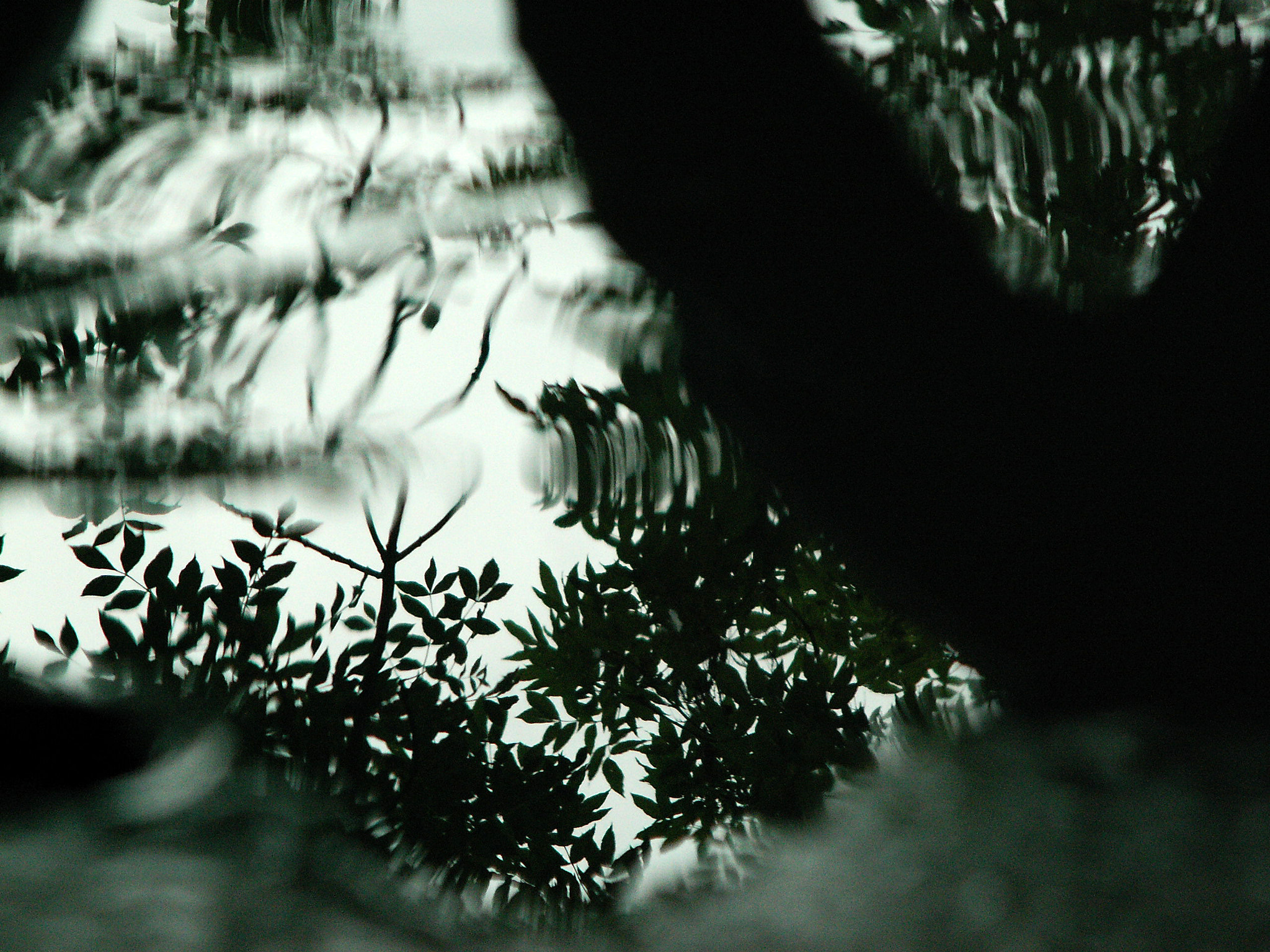 KONICA MINOLTA DiMAGE Z5 sample photo. Water photography