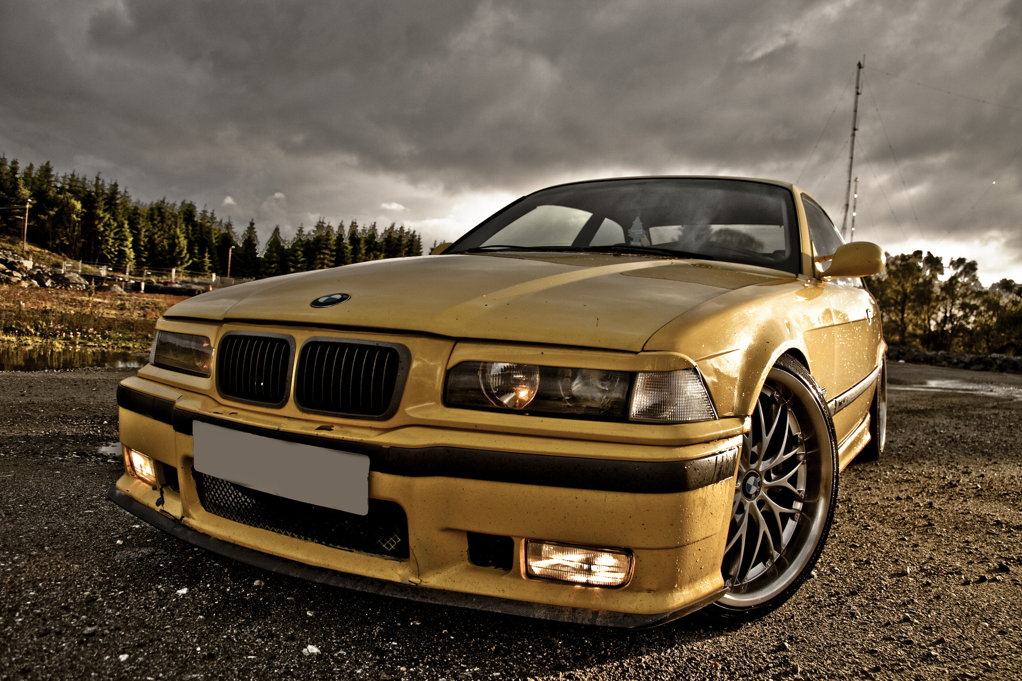 Canon EOS 50D sample photo. Yellow e36 photography