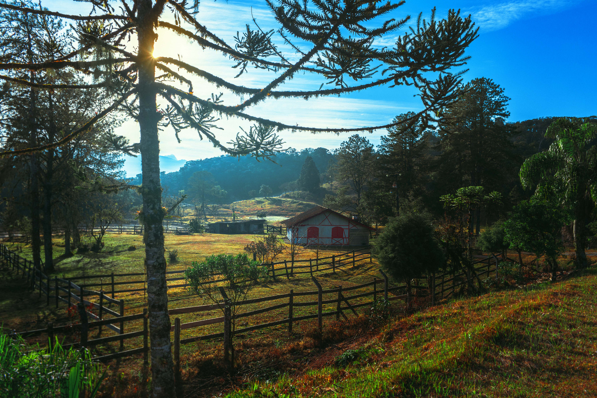 Samsung NX1 + Samsung NX 16mm F2.4 Pancake sample photo. Farm photography