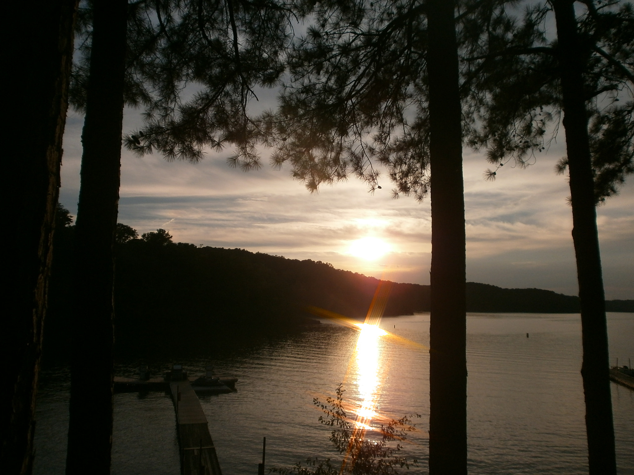 Olympus VG110,D700 sample photo. Through the pines photography