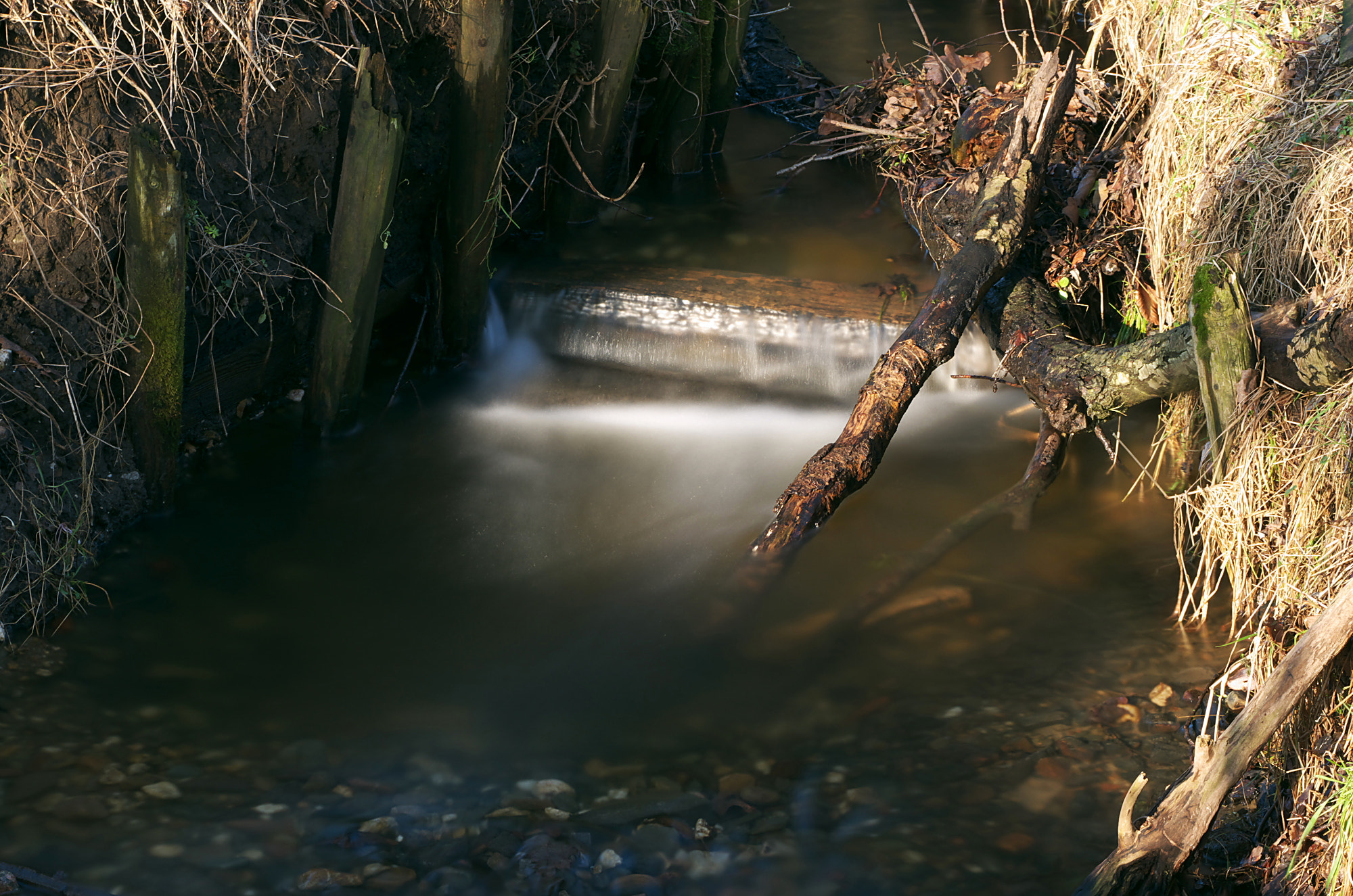 Pentax K-500 sample photo. Micro-falls photography