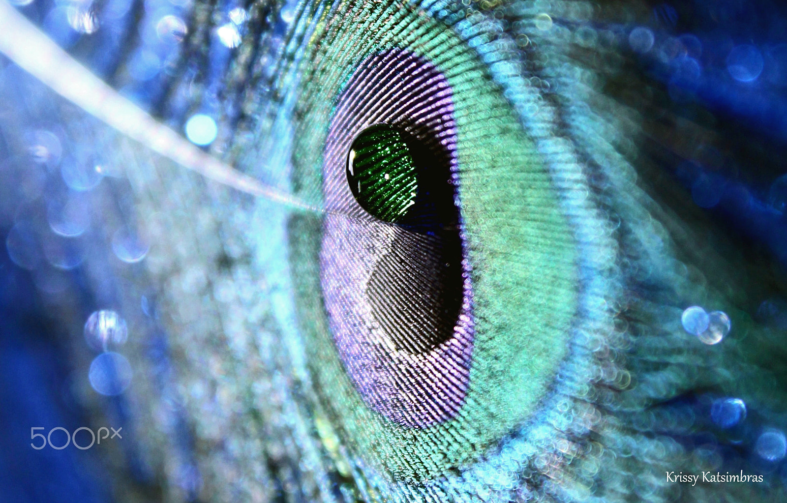 Canon EF-S 18-55mm F3.5-5.6 IS II sample photo. Wanderlust photography