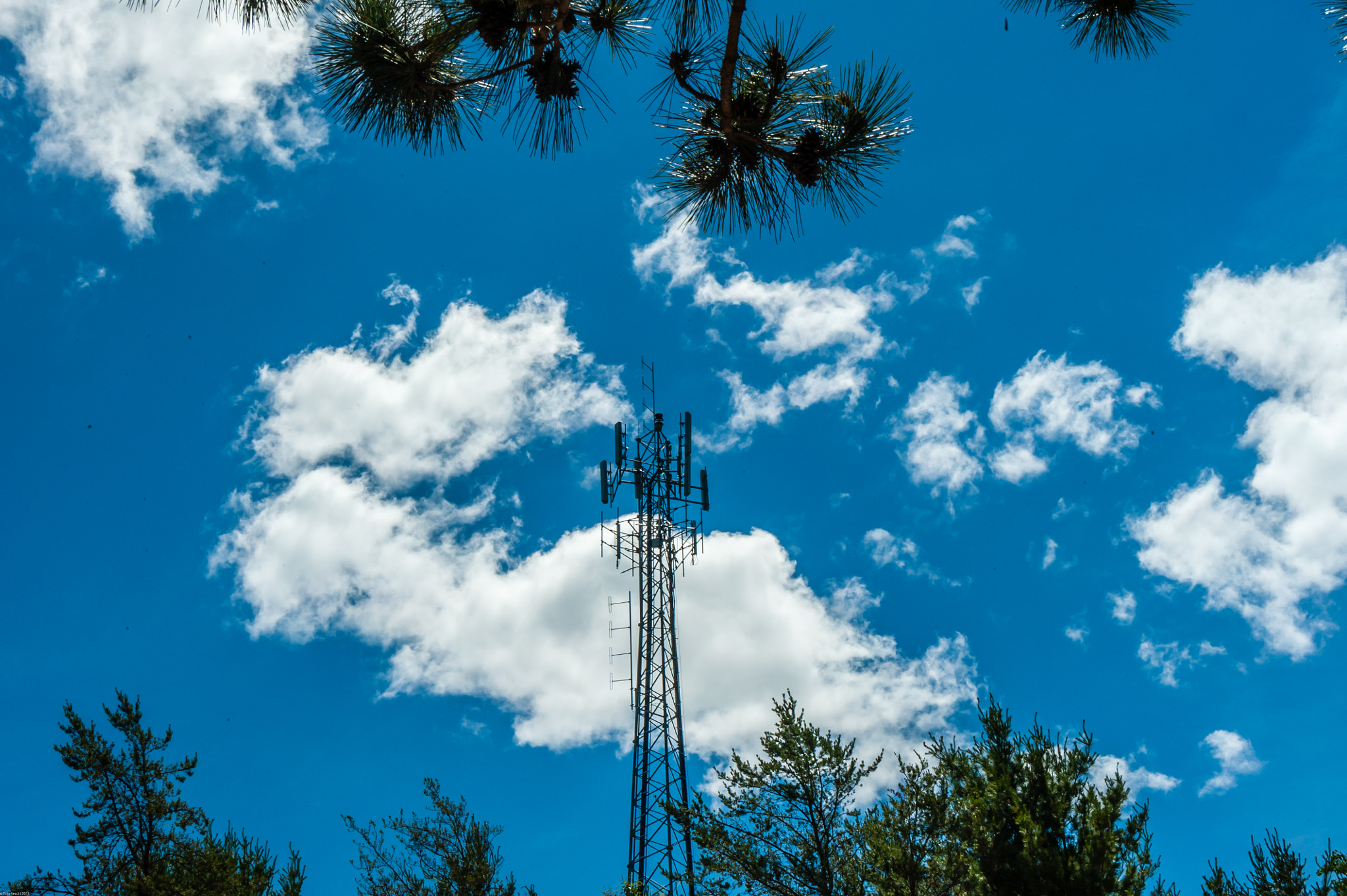 Nikon D700 + Tamron AF 28-300mm F3.5-6.3 XR Di VC LD Aspherical (IF) Macro sample photo. Cell tower in the wilderness photography