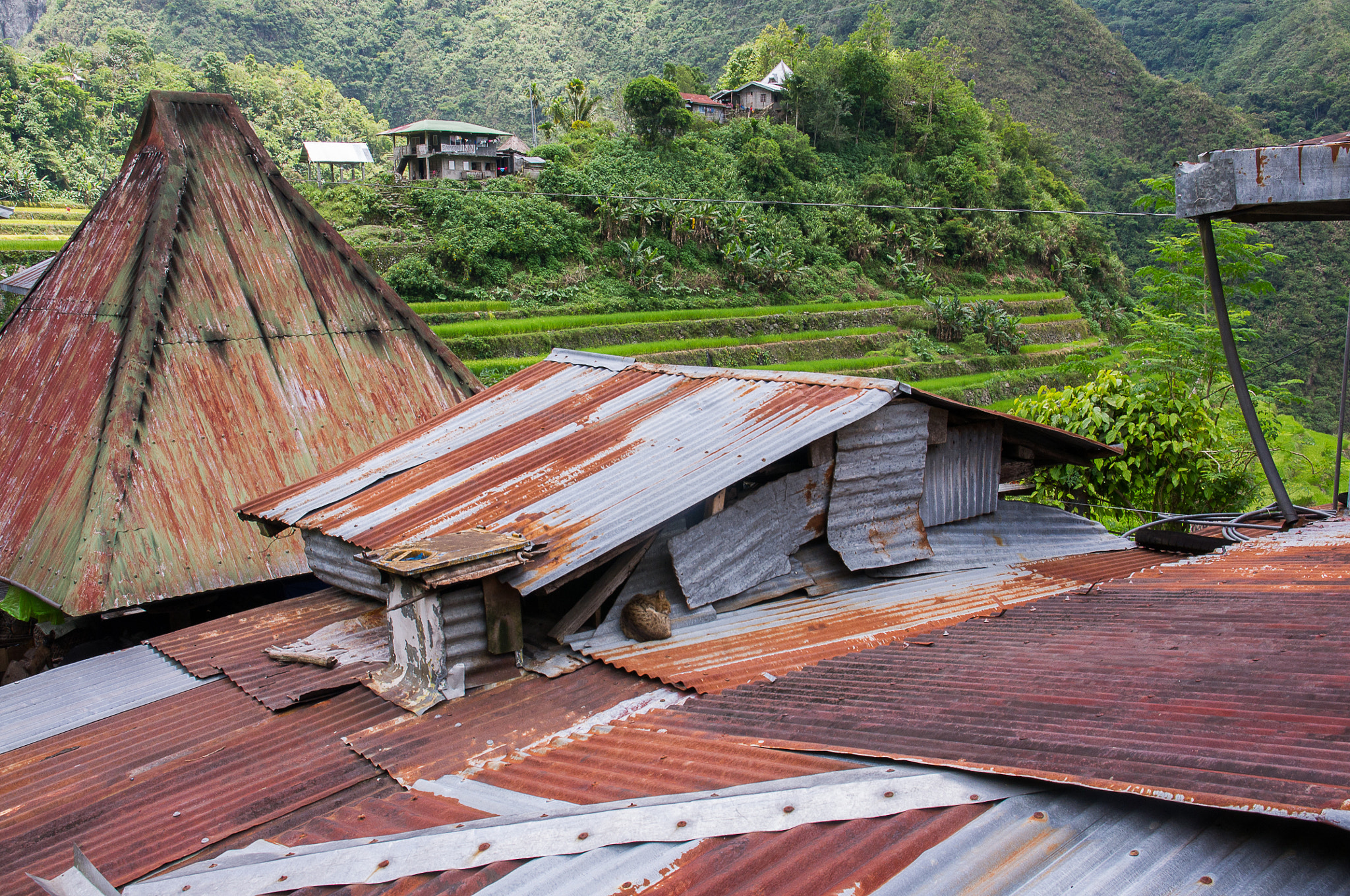 Pentax K-x + Sigma 17-70mm F2.8-4 DC Macro HSM | C sample photo. Batad photography