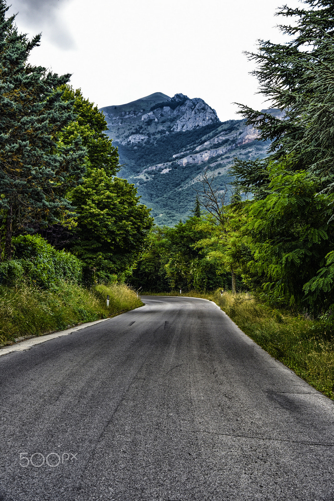 Sigma 28-300mm F3.5-6.3 DG Macro sample photo. On the road in mountain photography