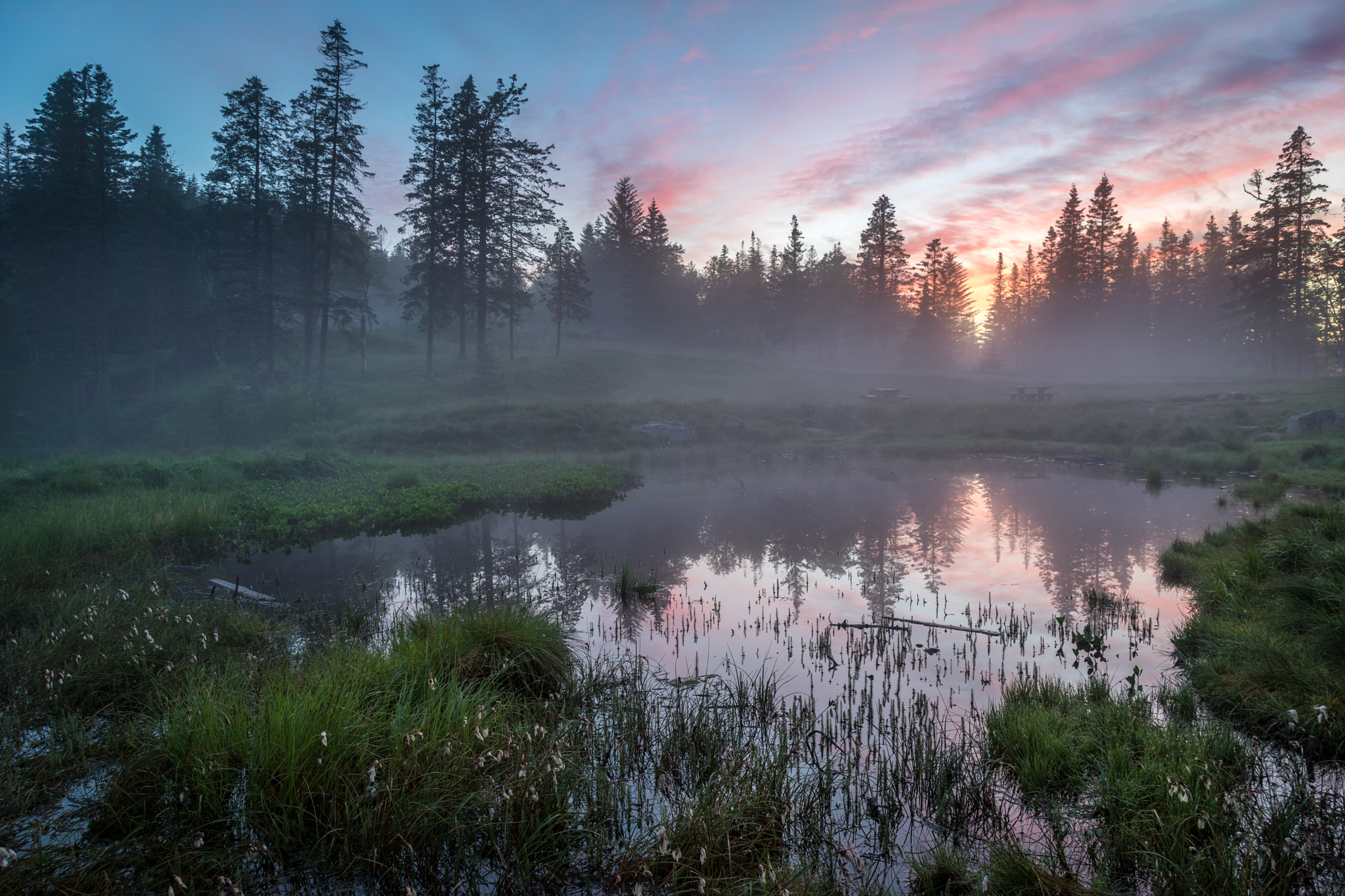 Sony a7 II + Canon EF 24-105mm F4L IS USM sample photo. Brushytten photography