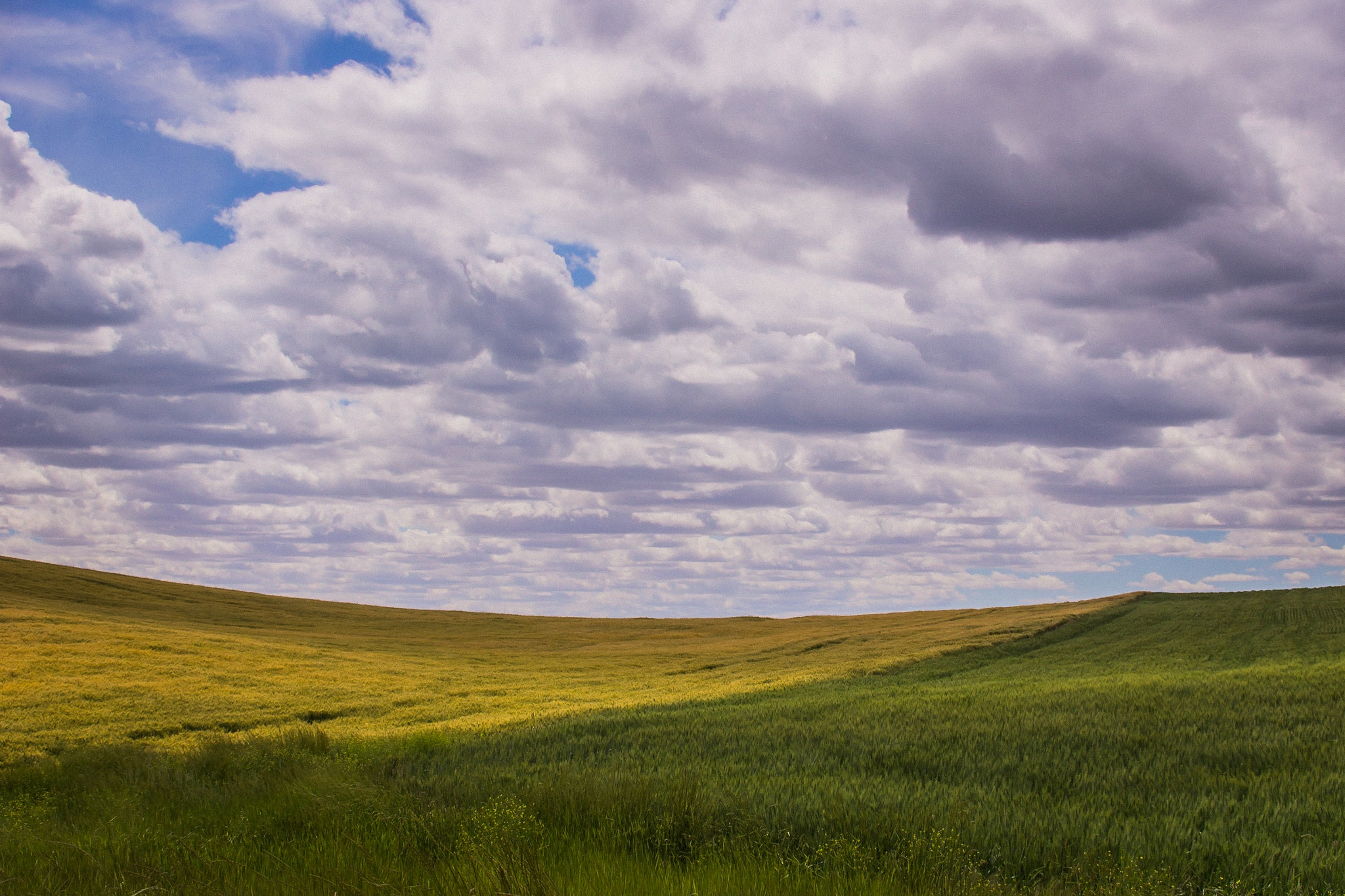 Sony SLT-A77 + DT 18-300mm F3.5-6.3 sample photo. Fields for days photography