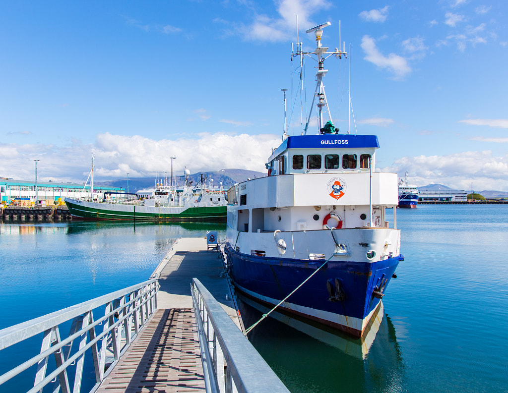 Whale watching boat by Marc Salm on 500px.com