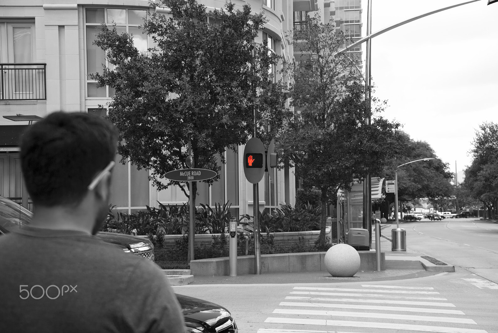Nikon D40X sample photo. Waiting to walk photography