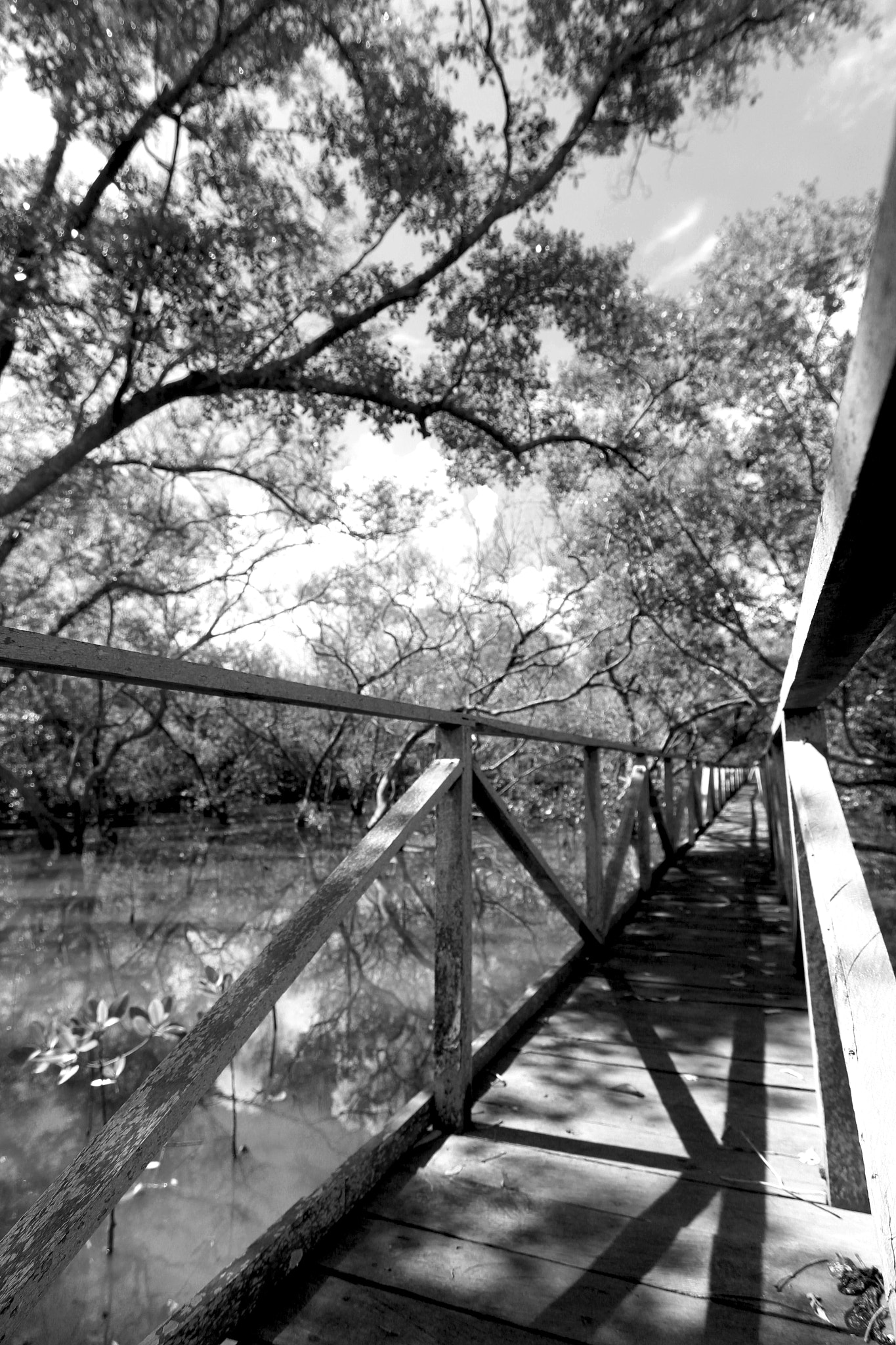 Canon EOS 650D (EOS Rebel T4i / EOS Kiss X6i) sample photo. Sunyi... photography