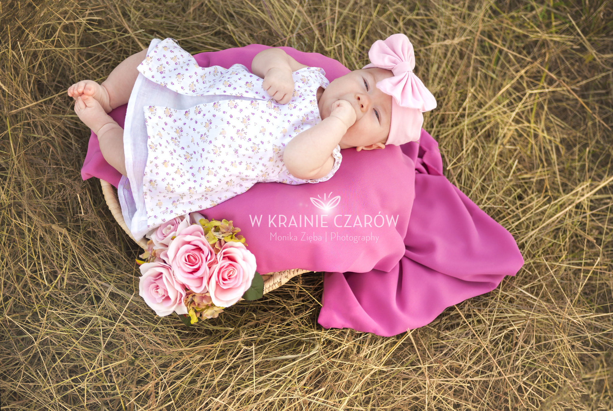 Pentax K200D + Sigma 18-35mm F1.8 DC HSM Art sample photo. Wonderland photography