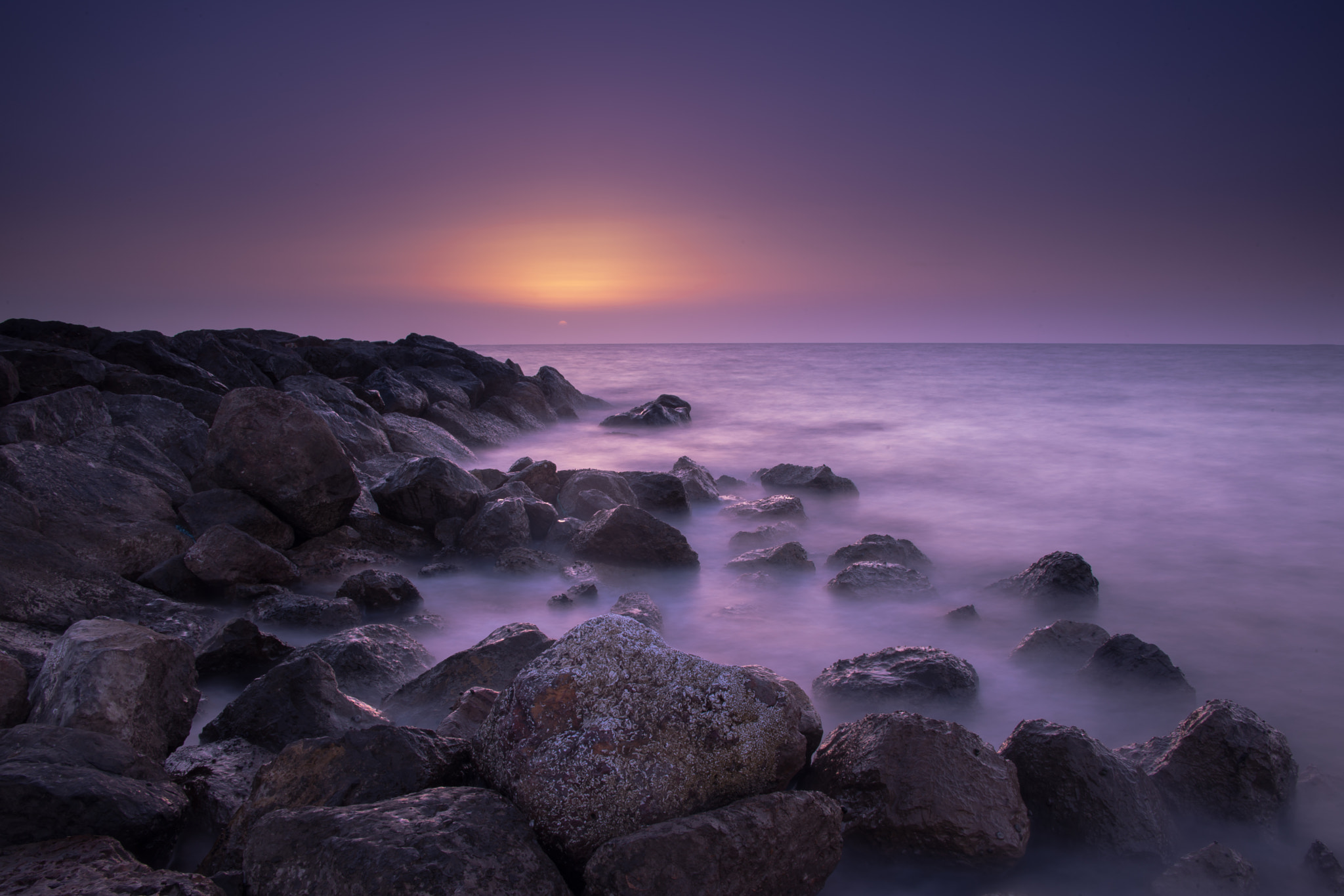 Nikon D3X sample photo. Together photography