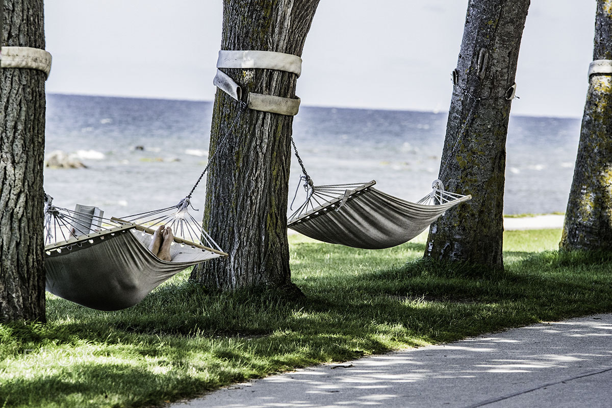 Sony ILCA-77M2 + 70-200mm F2.8 sample photo. Resting outdoor photography