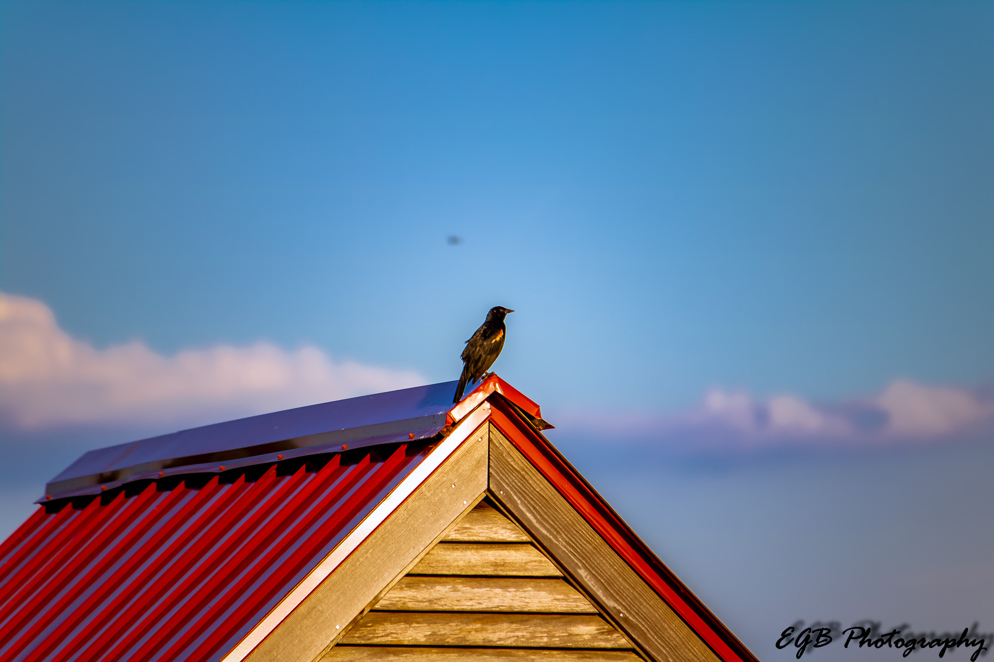 Canon EF-S 55-250mm F4-5.6 IS sample photo. On top of the world photography