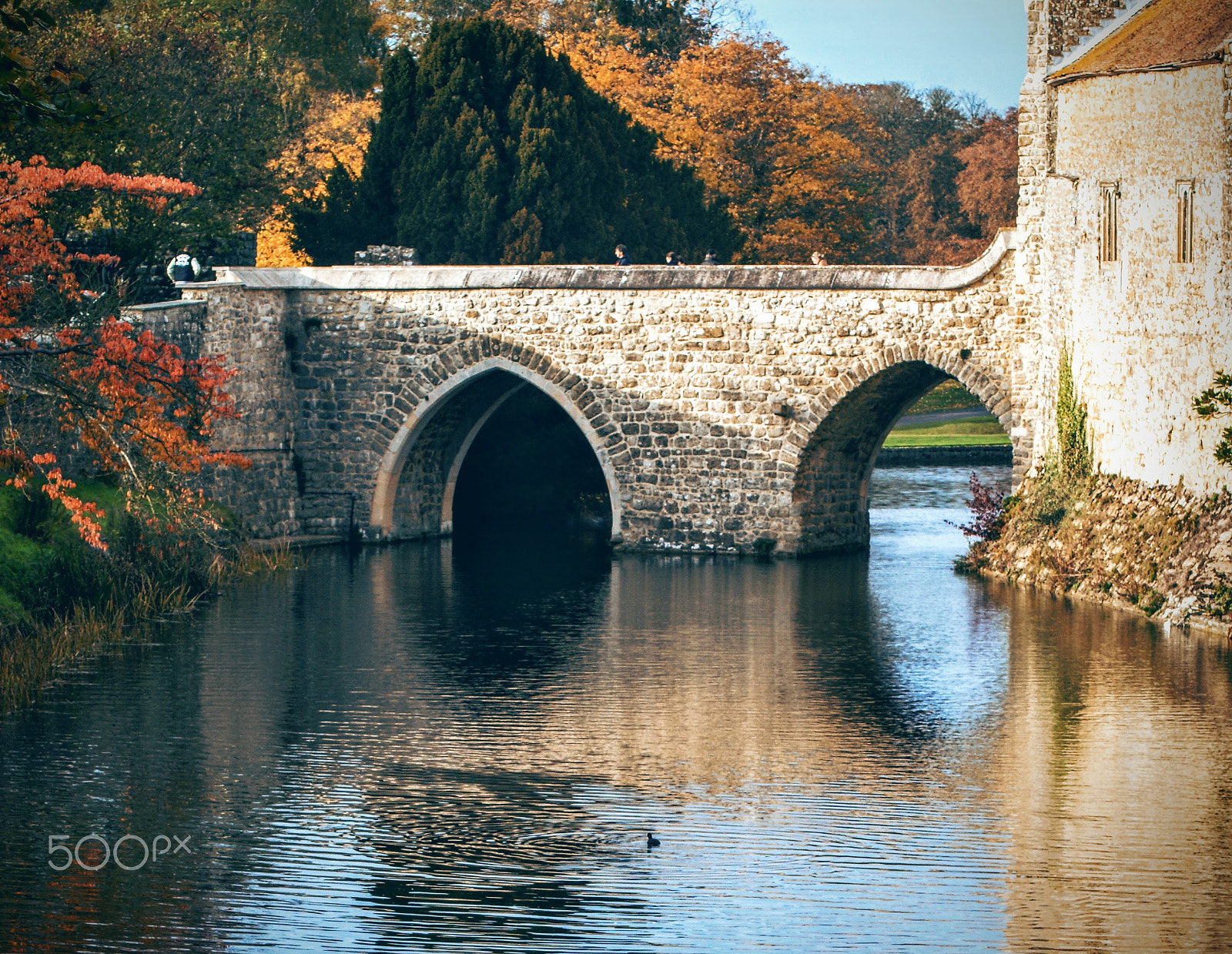 Sony Alpha DSLR-A200 + Tamron Lens (255) sample photo. Leeds castle photography