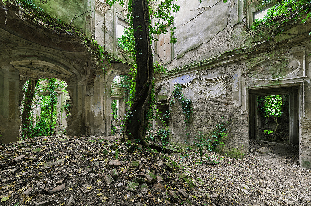 Nikon D700 + Sigma 12-24mm F4.5-5.6 II DG HSM sample photo. Ruins romantic photography