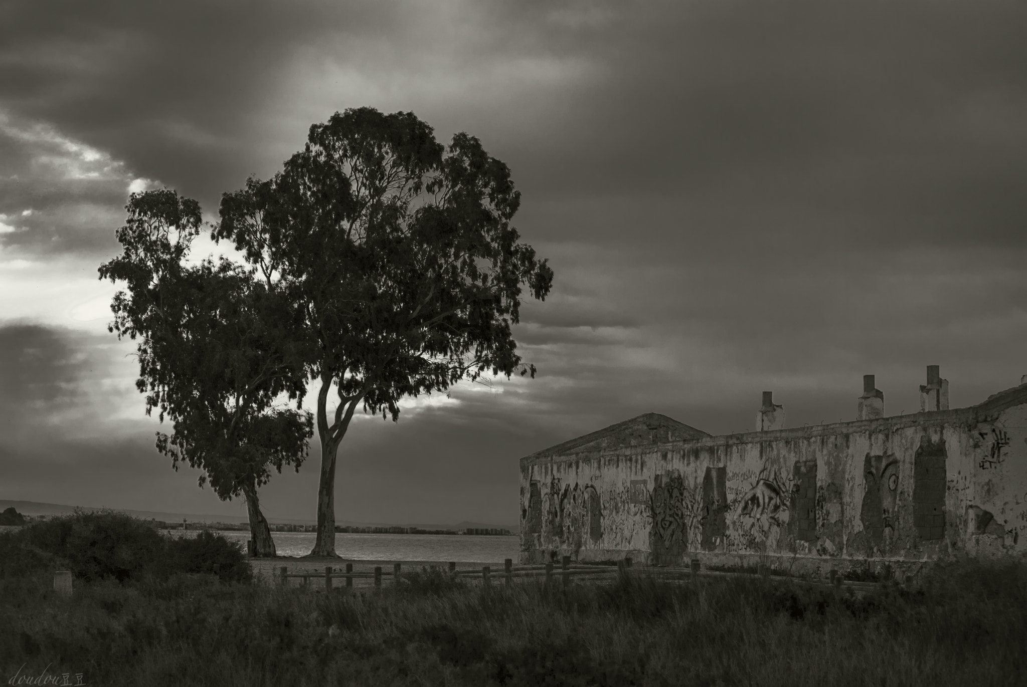 Nikon D80 sample photo. The first light of morning photography