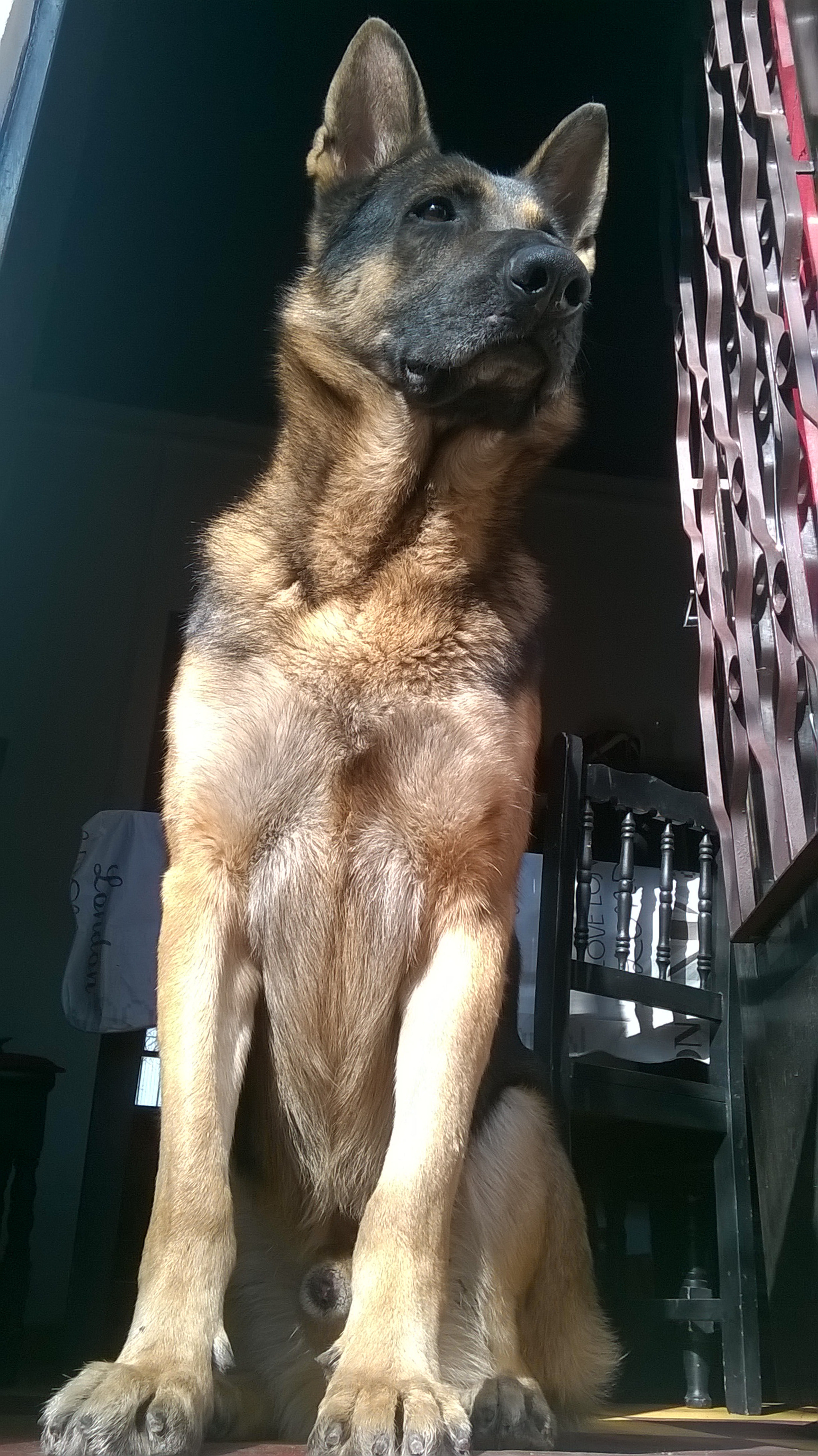 Nokia Lumia 630 sample photo. Wp_20160619_003.jpg photography