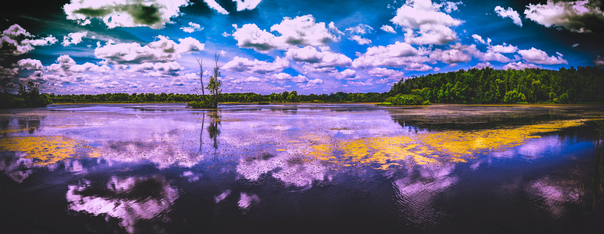 Nikon D750 + Samyang 35mm F1.4 AS UMC sample photo. Iroquois national wildlife refuge #2 photography